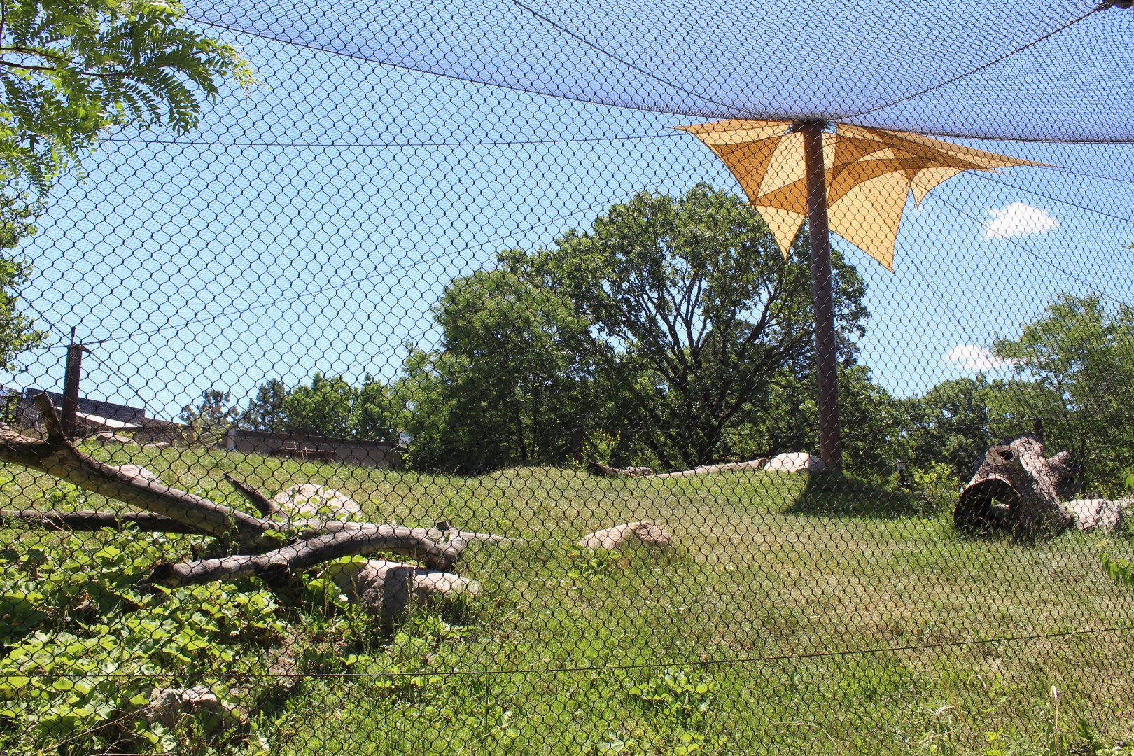 Gorilla Exhibit - Primate House