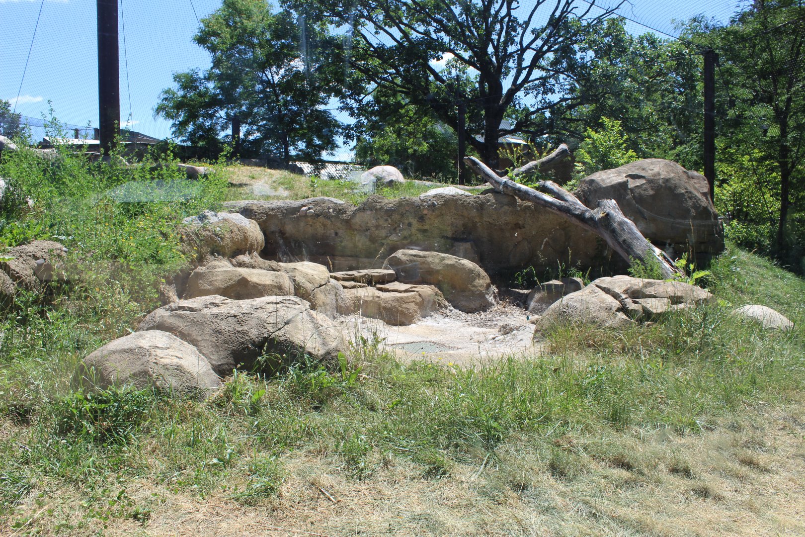 Gorilla Exhibit - Primate House