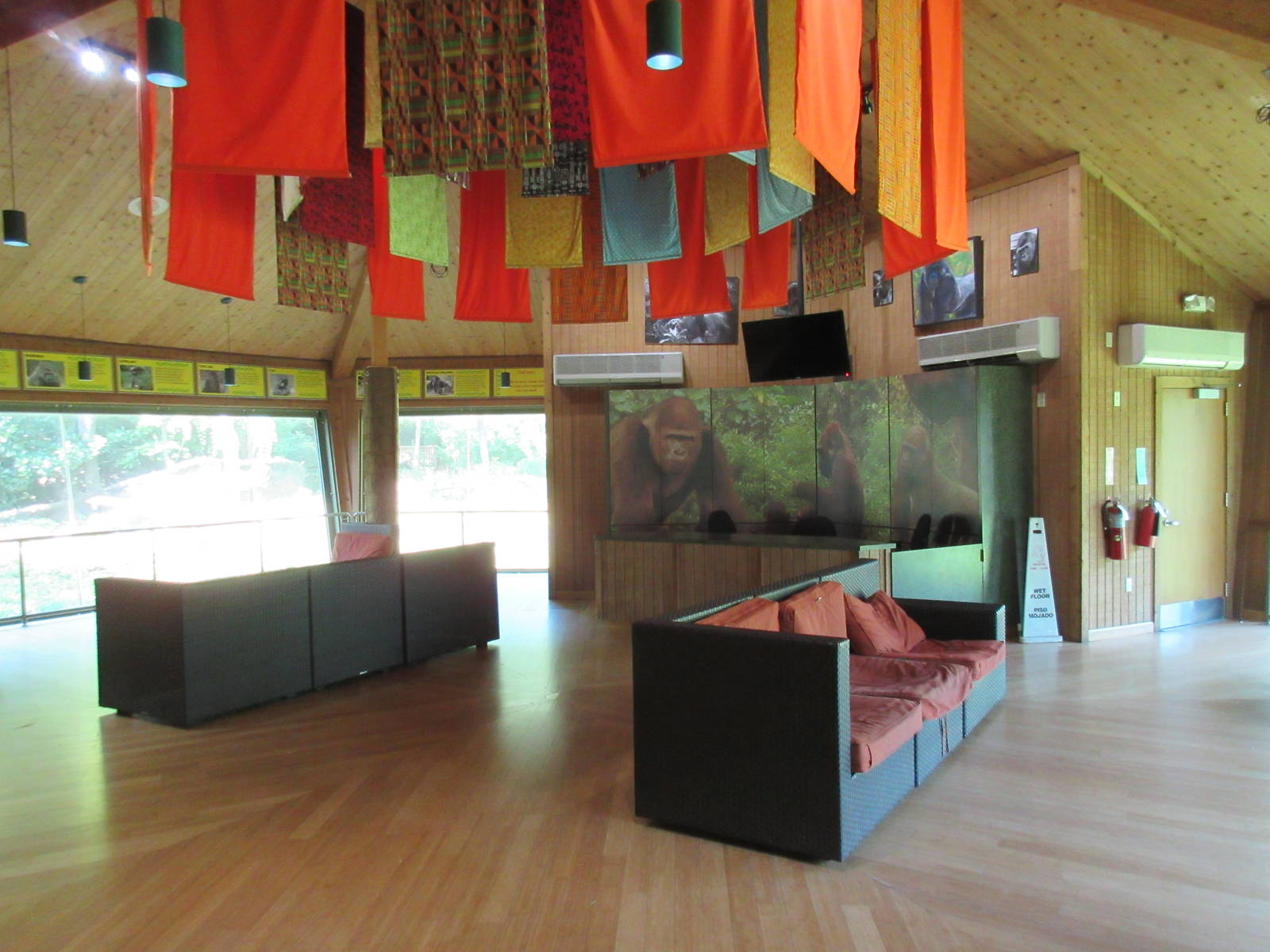 Gorilla Exhibit Research Station