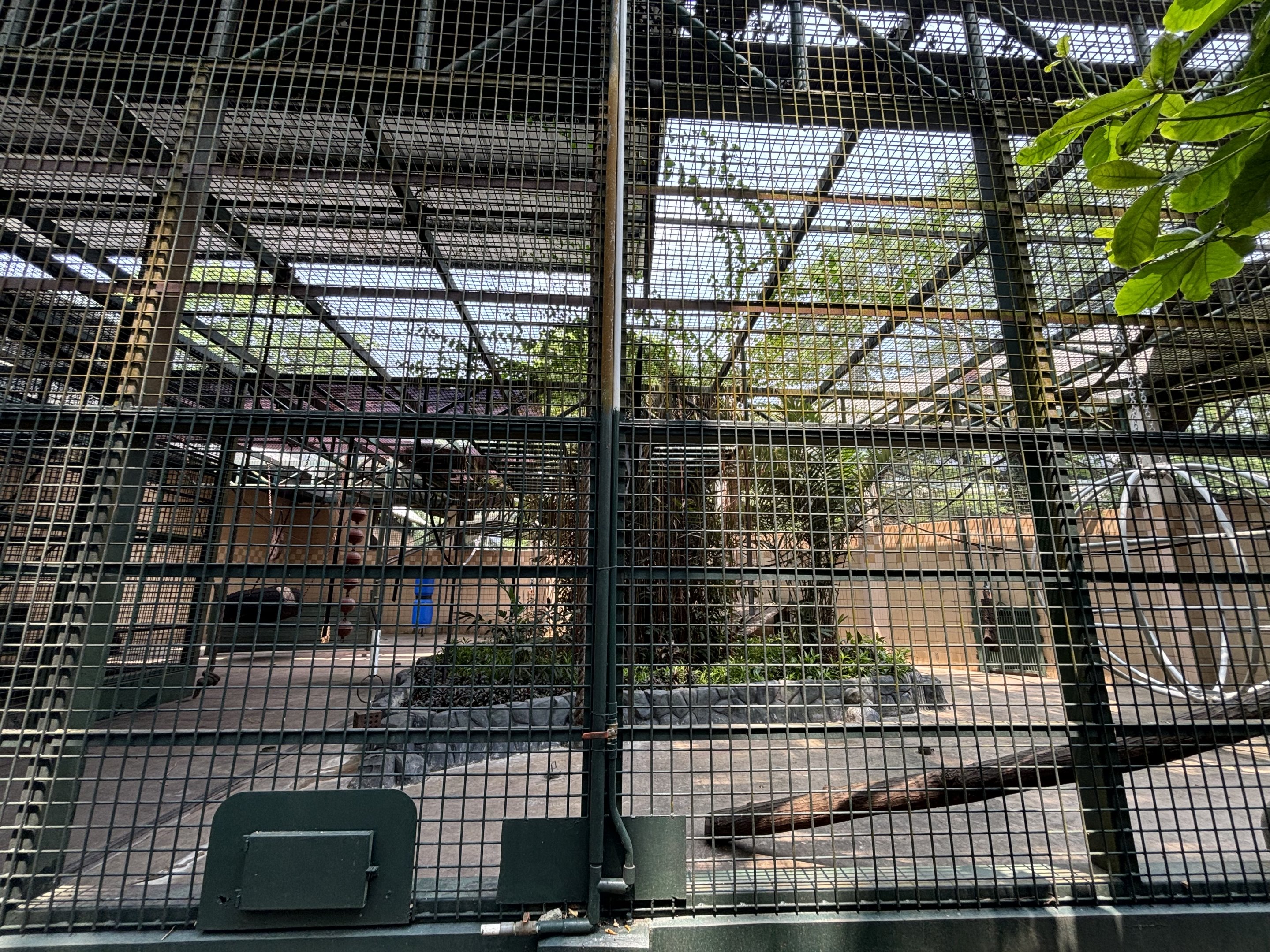 Gorilla Exhibit - side yard