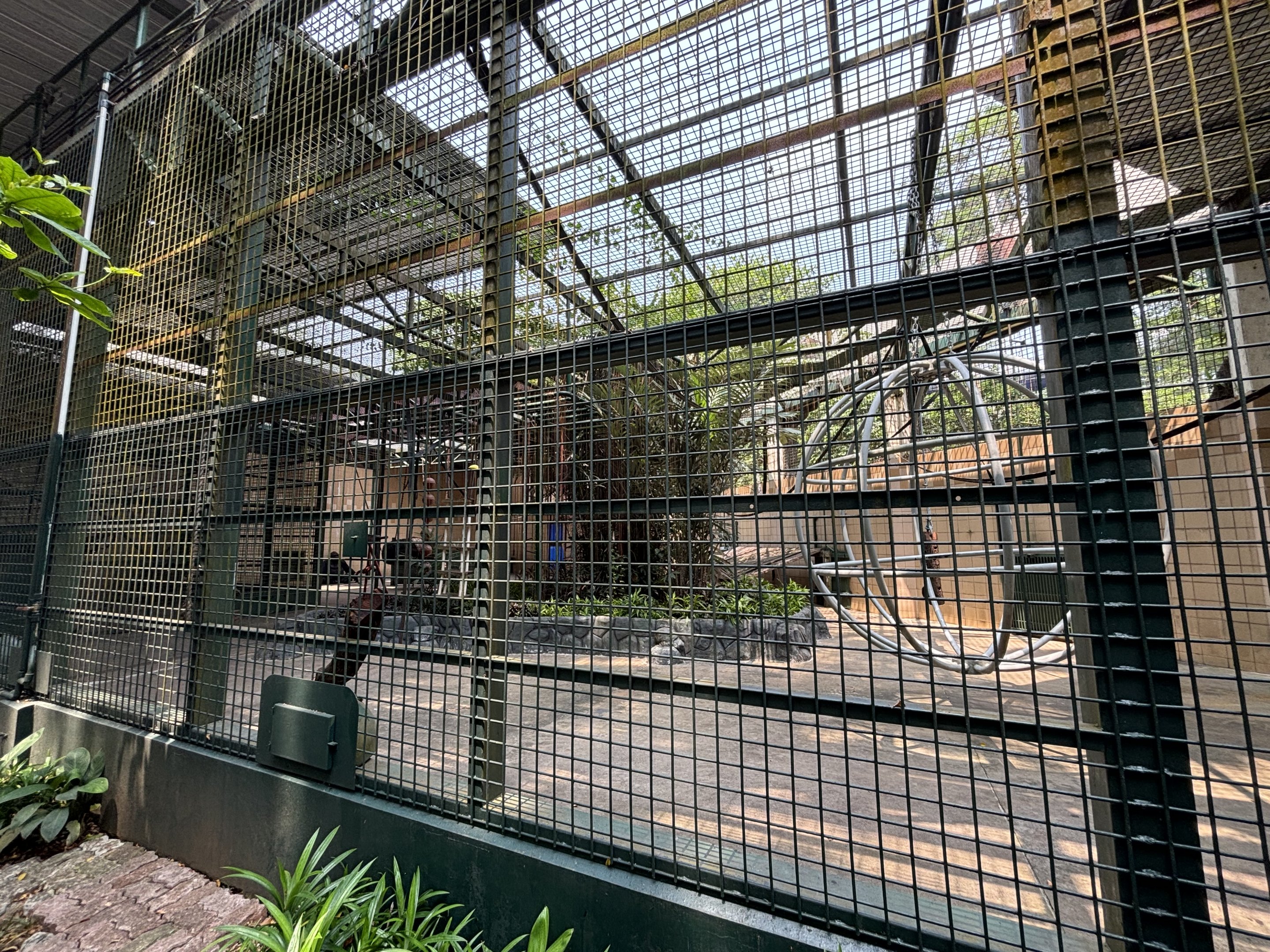 Gorilla Exhibit - side yard