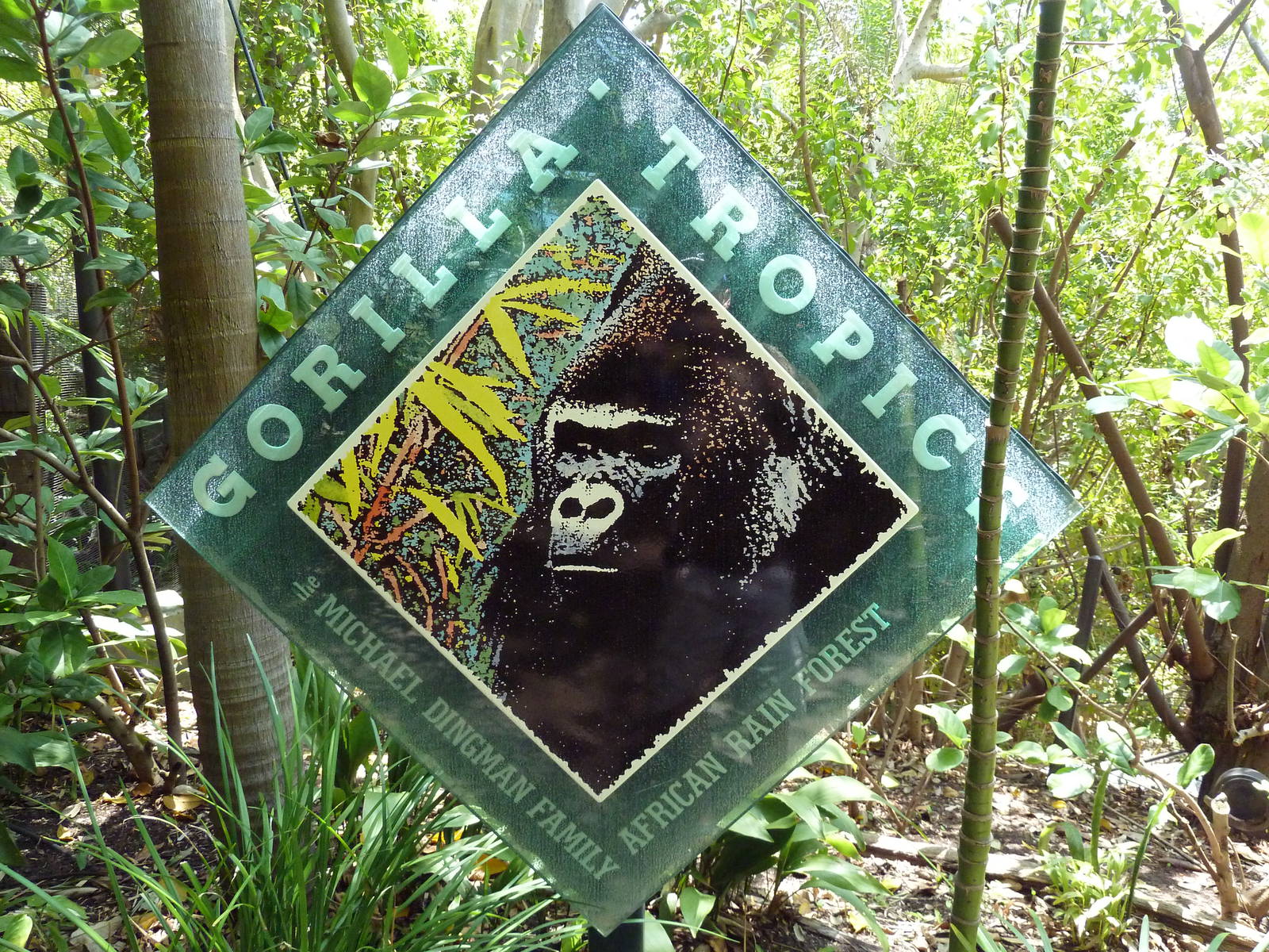 Gorilla Exhibit Sign