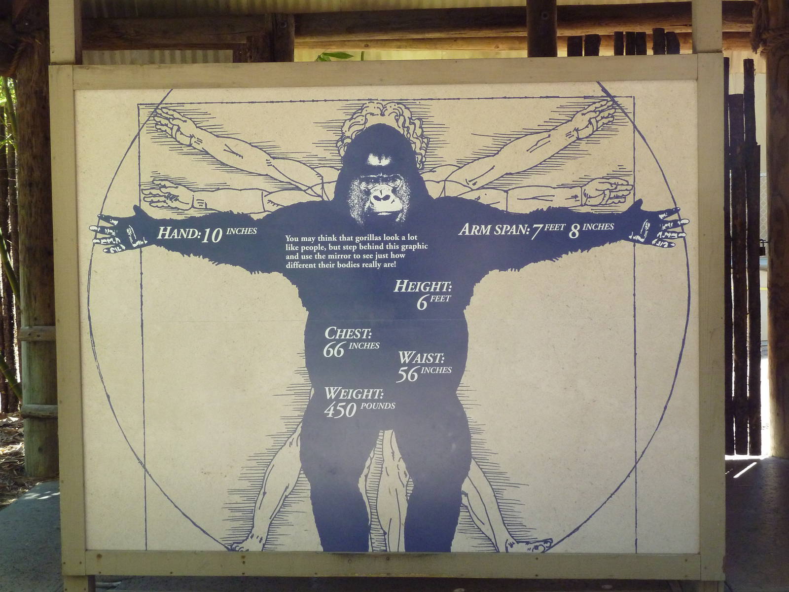 Gorilla Exhibit - Sign