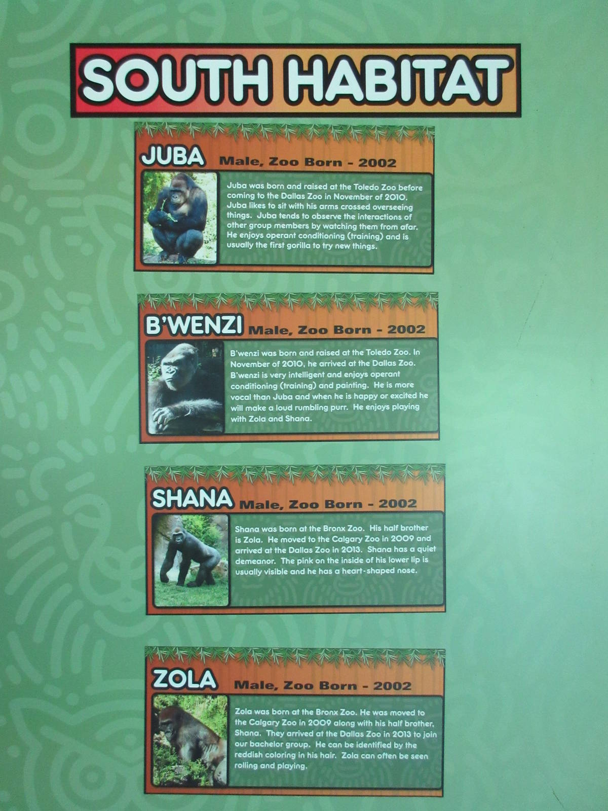 Gorilla Exhibit - Sign