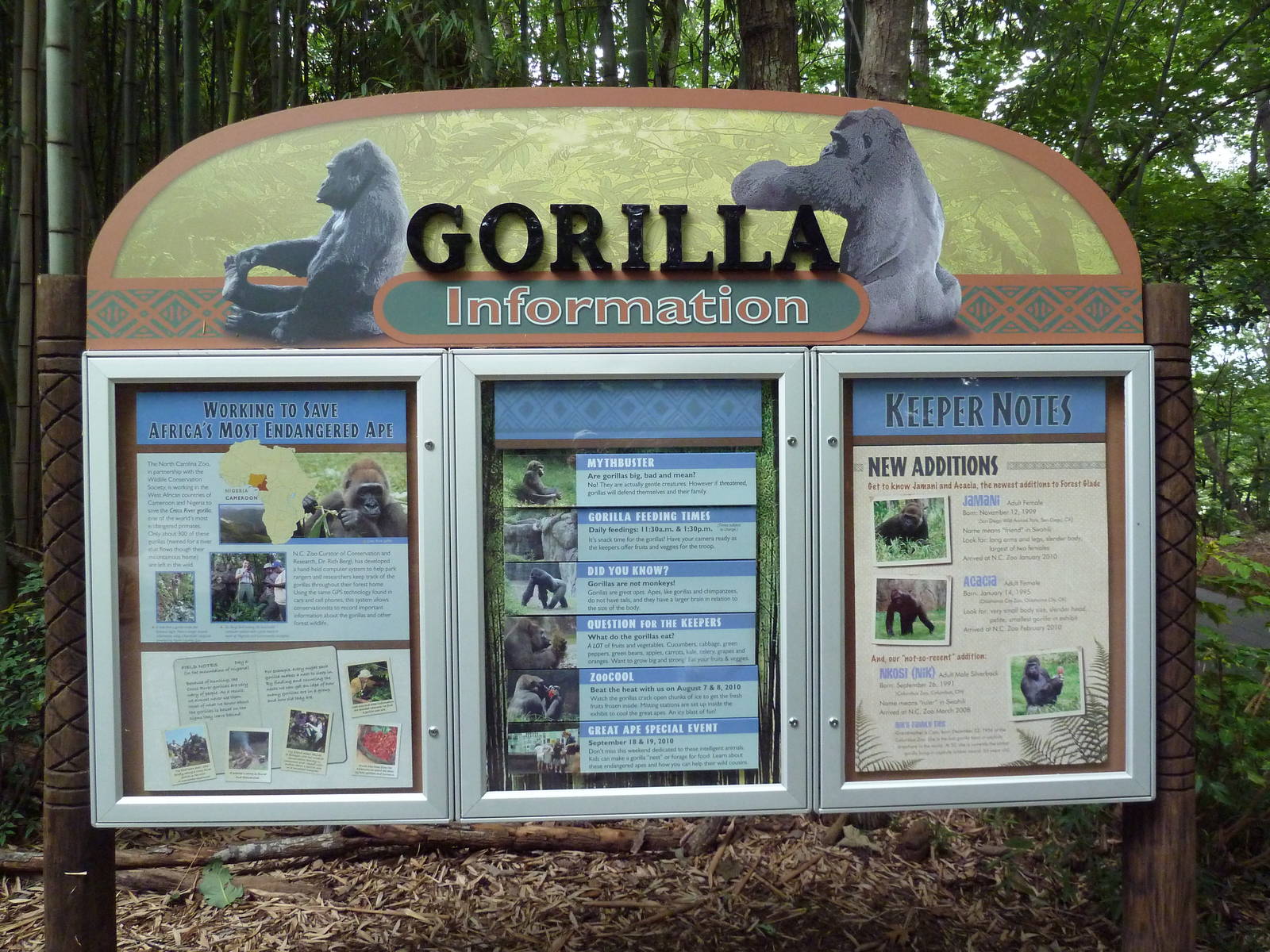 Gorilla Exhibit - Signage