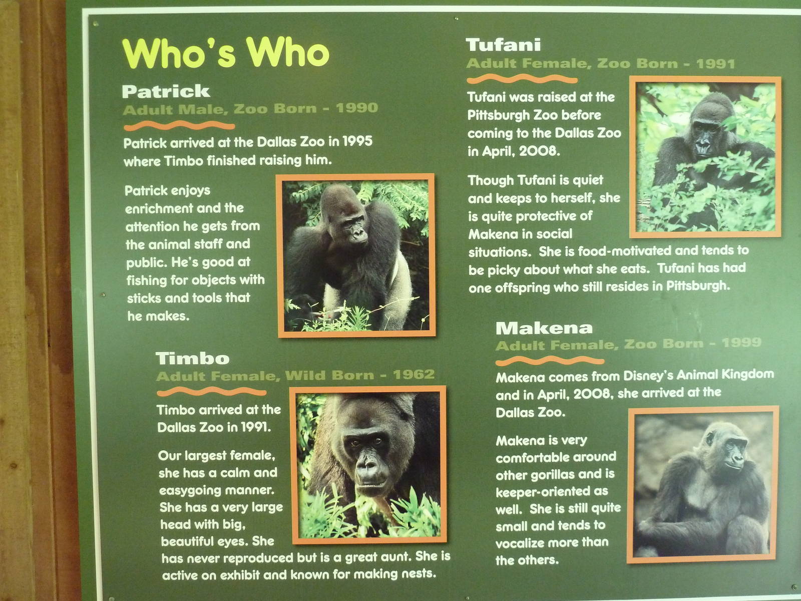 Gorilla Exhibit - Signage