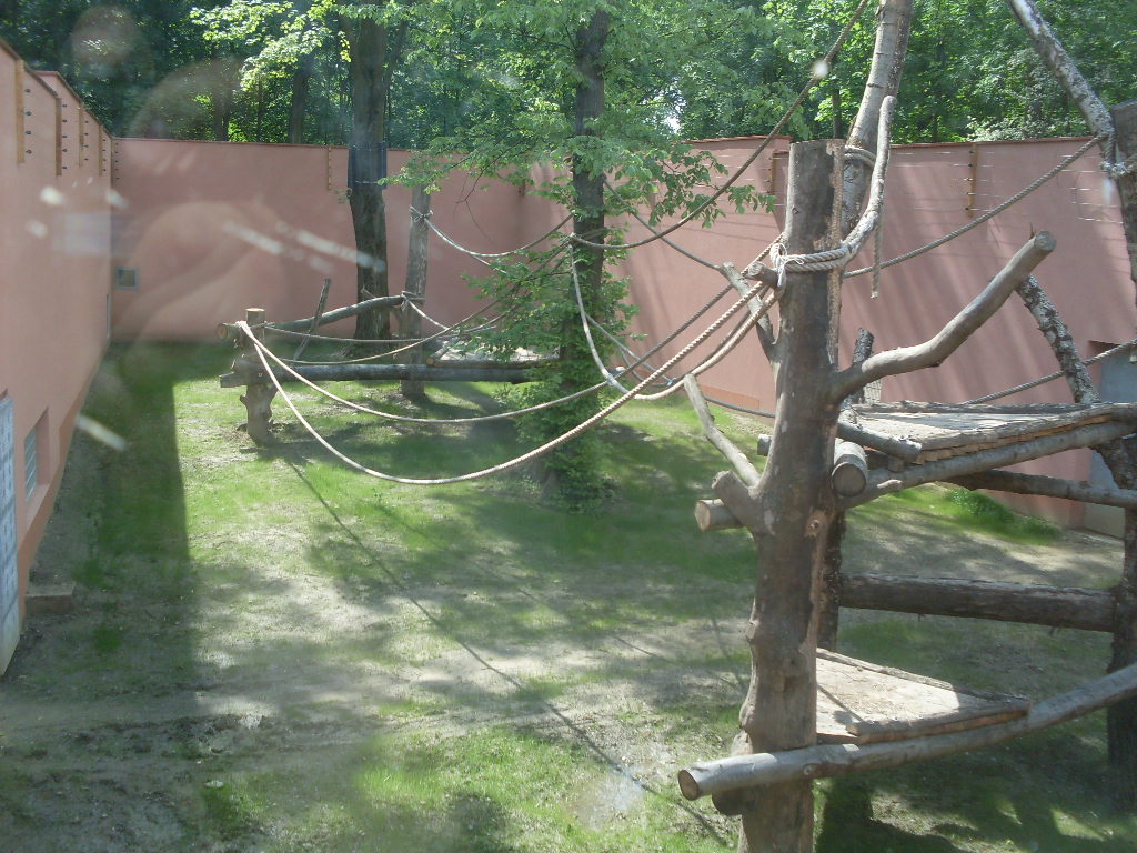 Gorilla exhibit-under construction