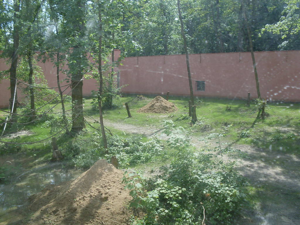 Gorilla exhibit-under construction