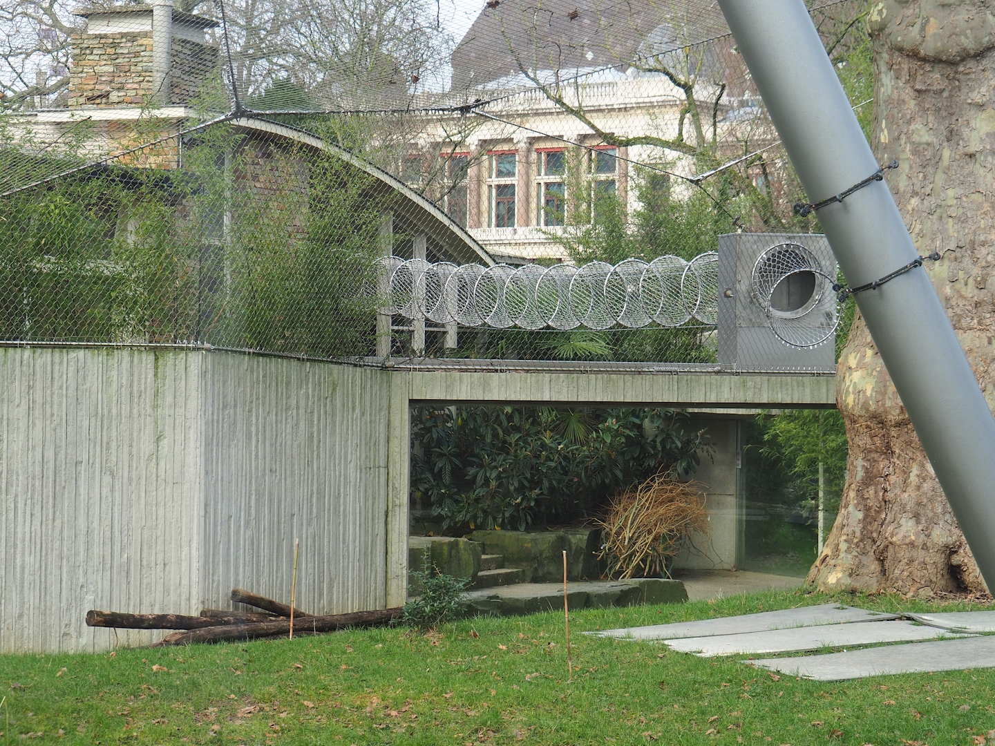Gorilla exhibit viewing area and tunnel for Hamlyn's monkeys, seen from the other side of the exhibit, 2024-02-17