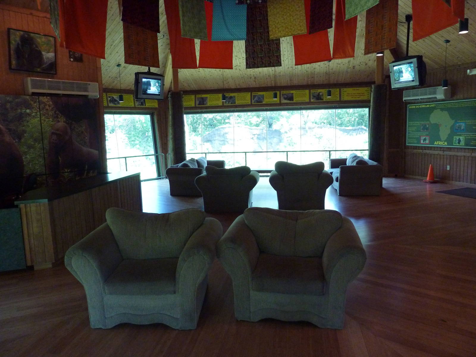 Gorilla Exhibit - Viewing Area