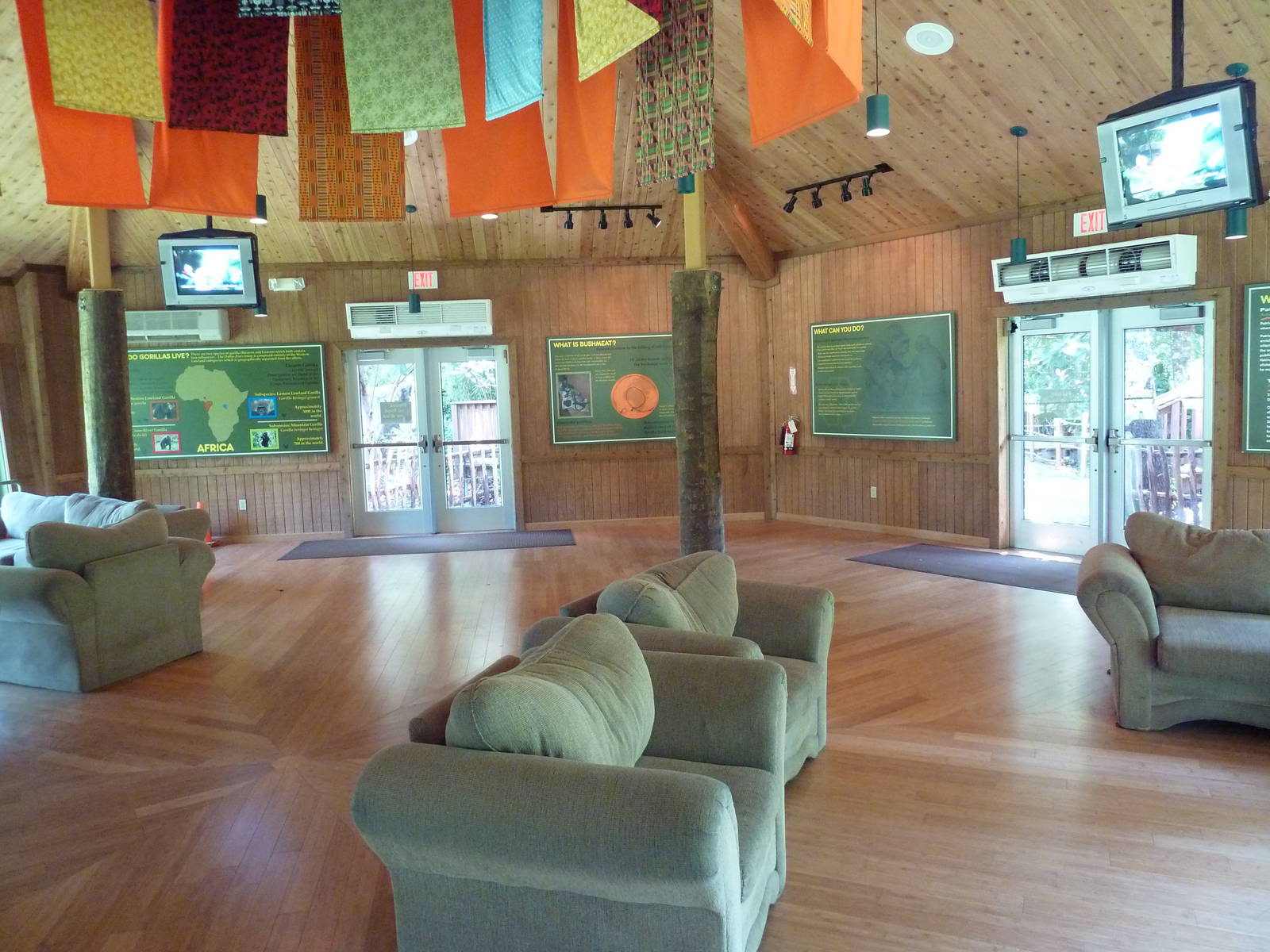 Gorilla Exhibit - Viewing Area