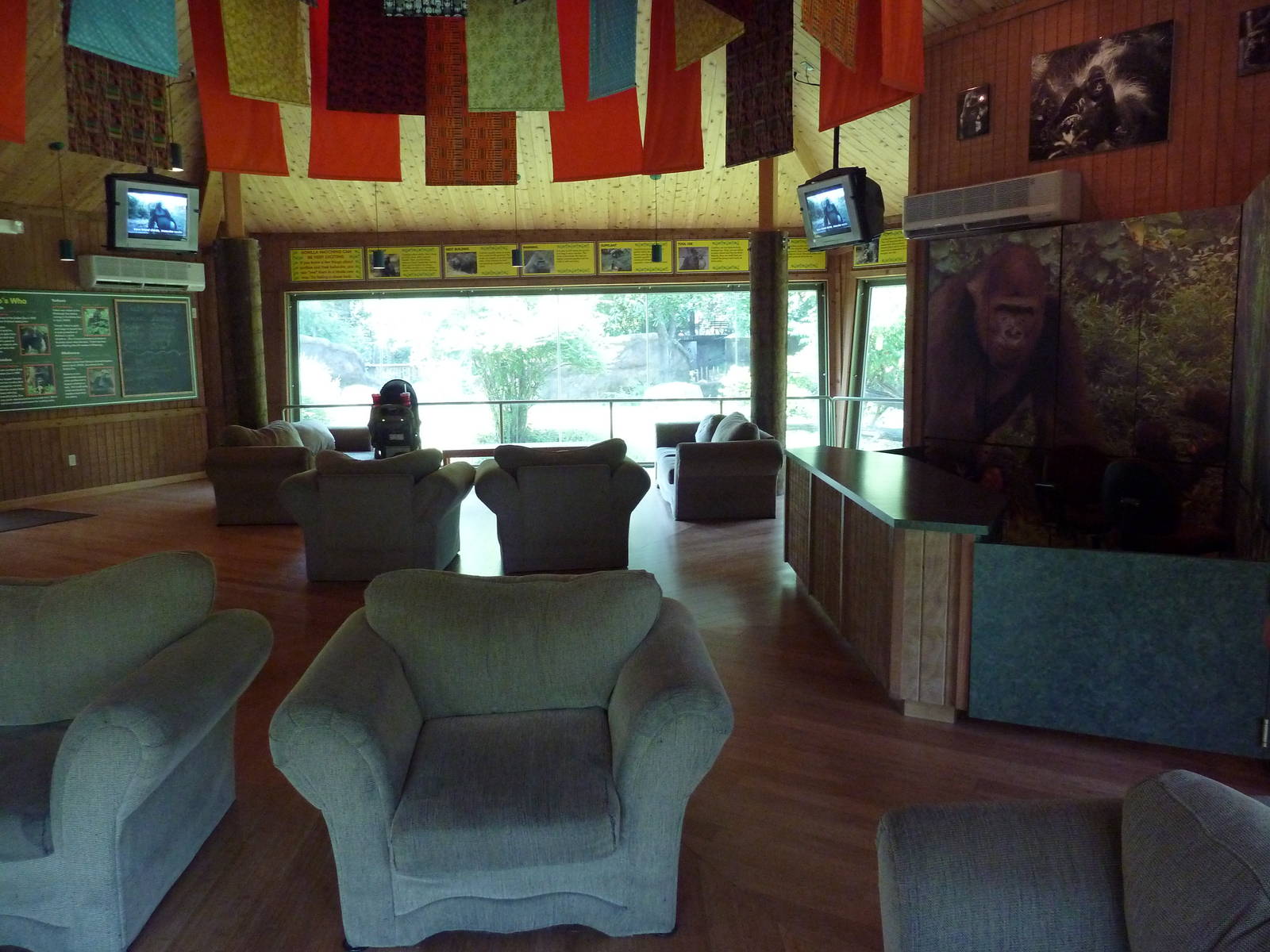 Gorilla Exhibit - Viewing Area