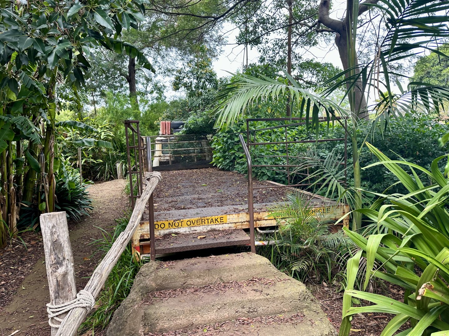 Gorilla Exhibit Viewing Platform