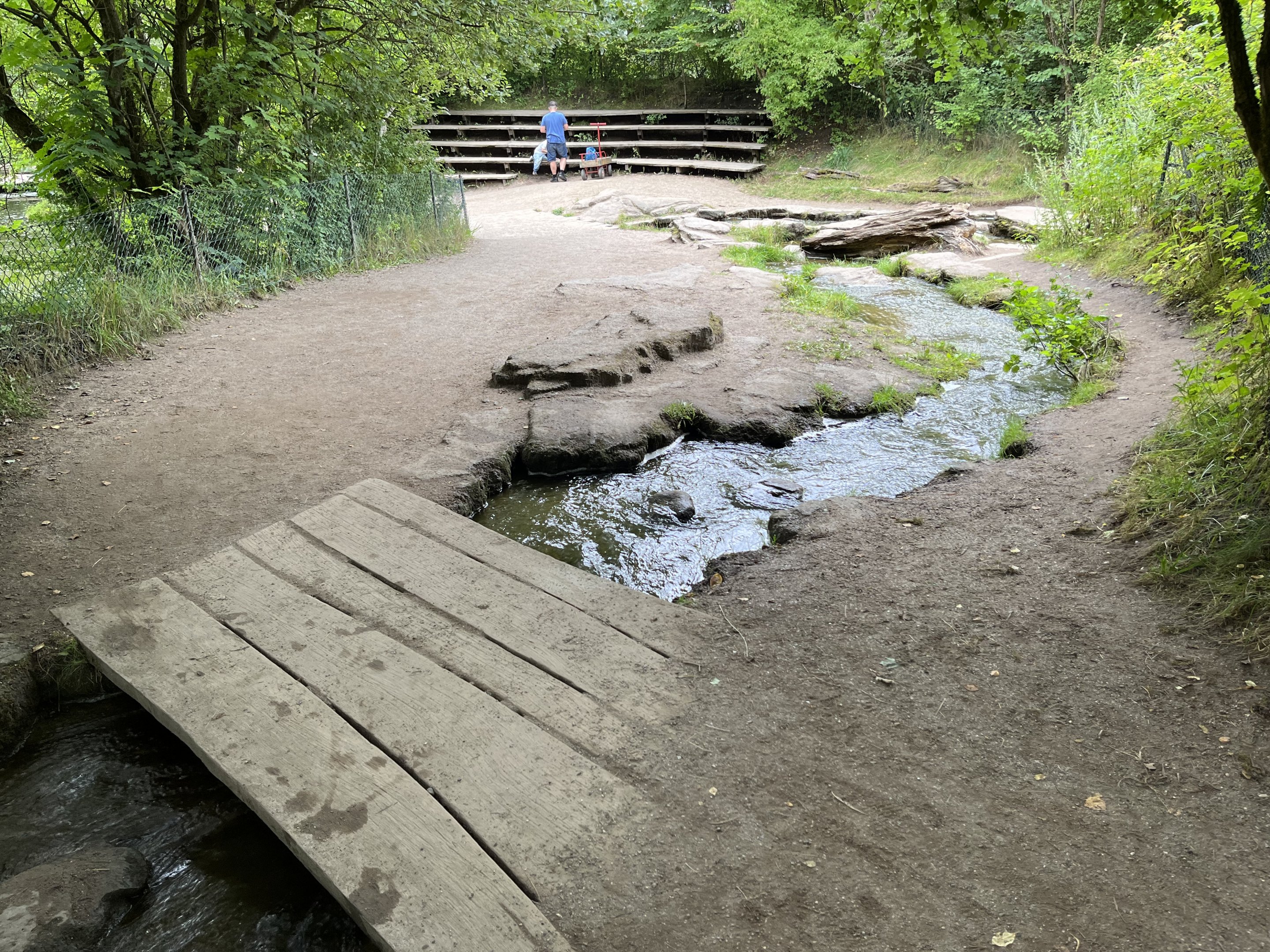 Gorilla Exhibit - visitor stream