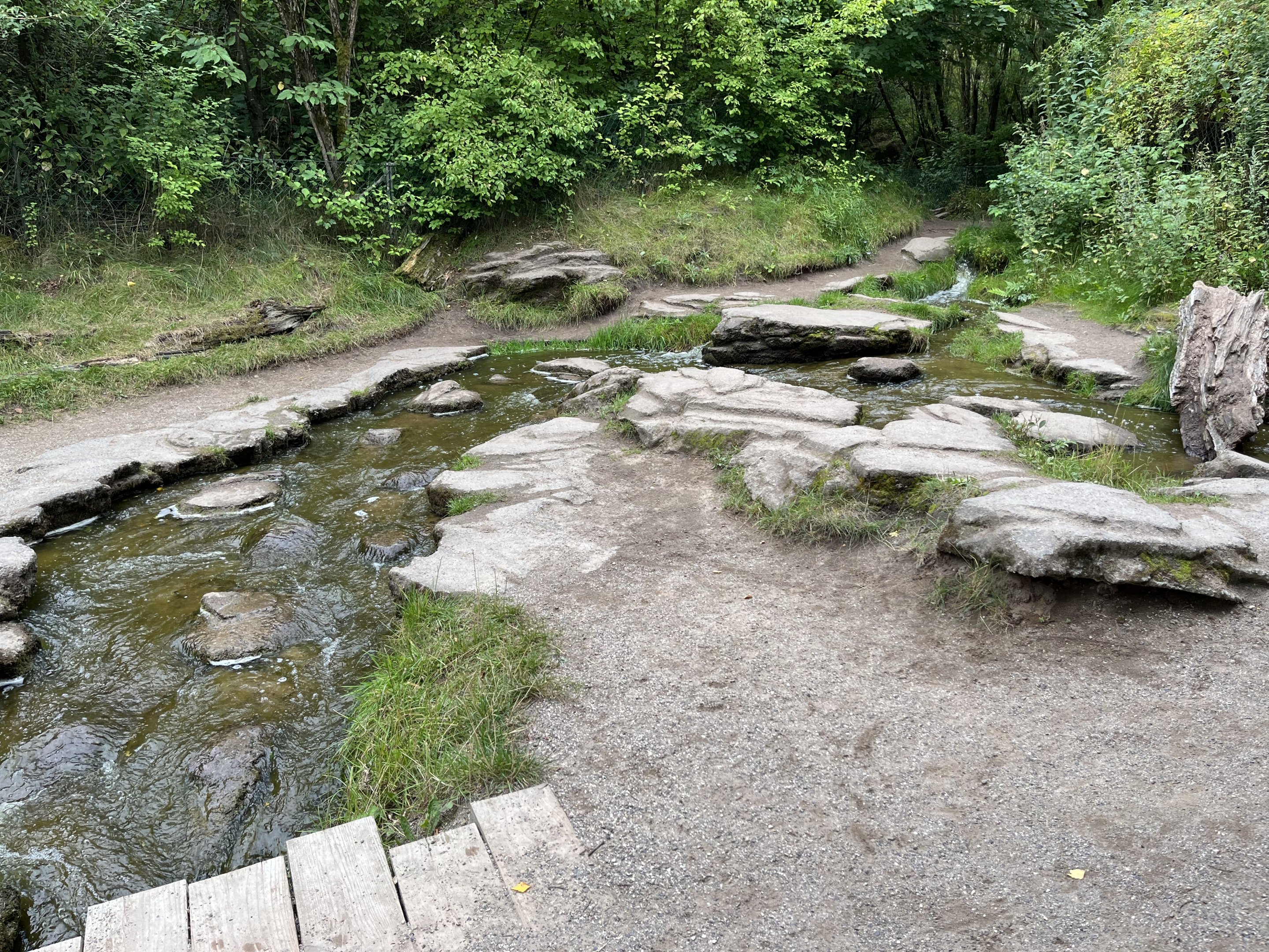 Gorilla Exhibit - visitor stream