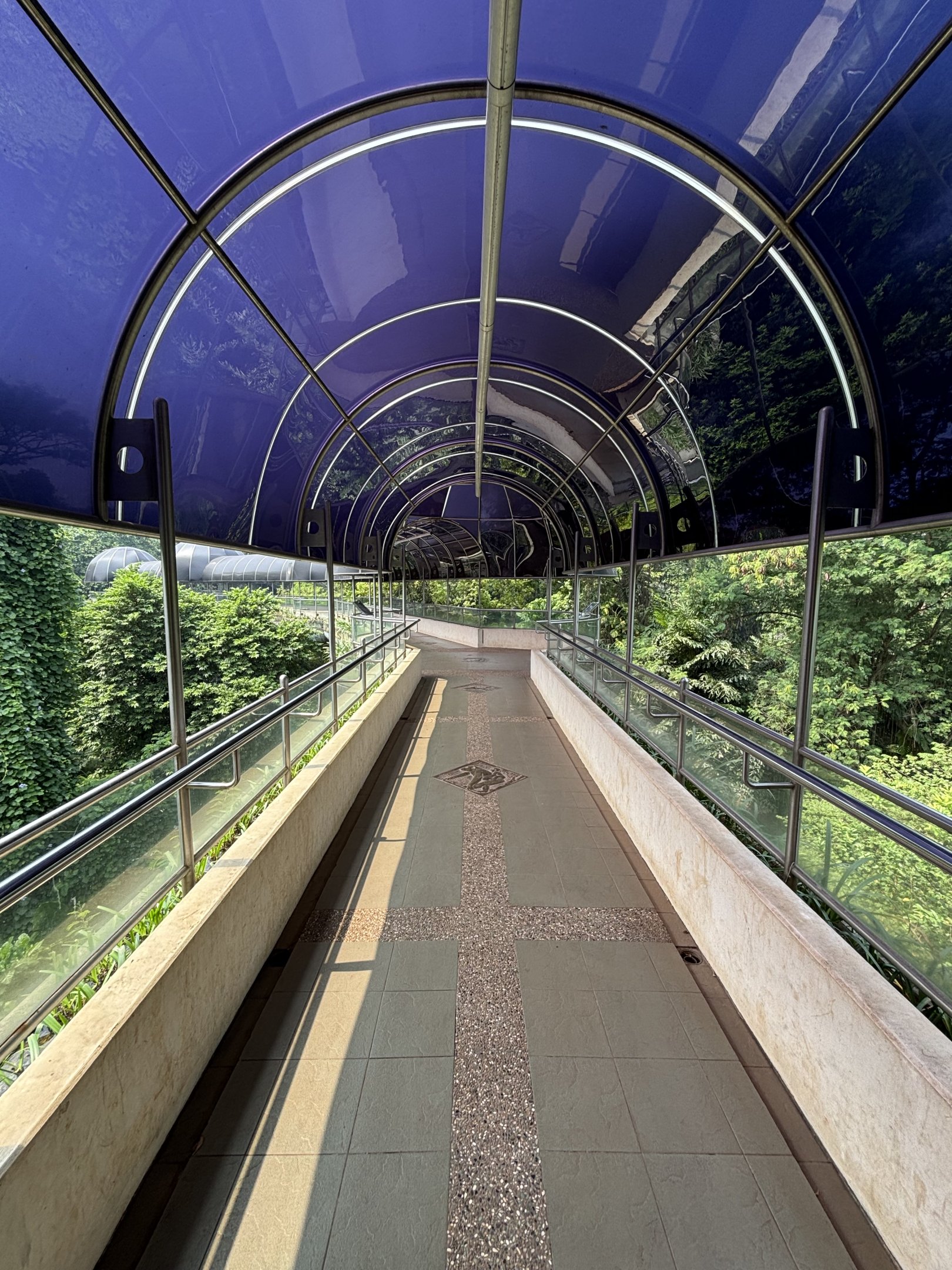Gorilla Exhibit - walkway
