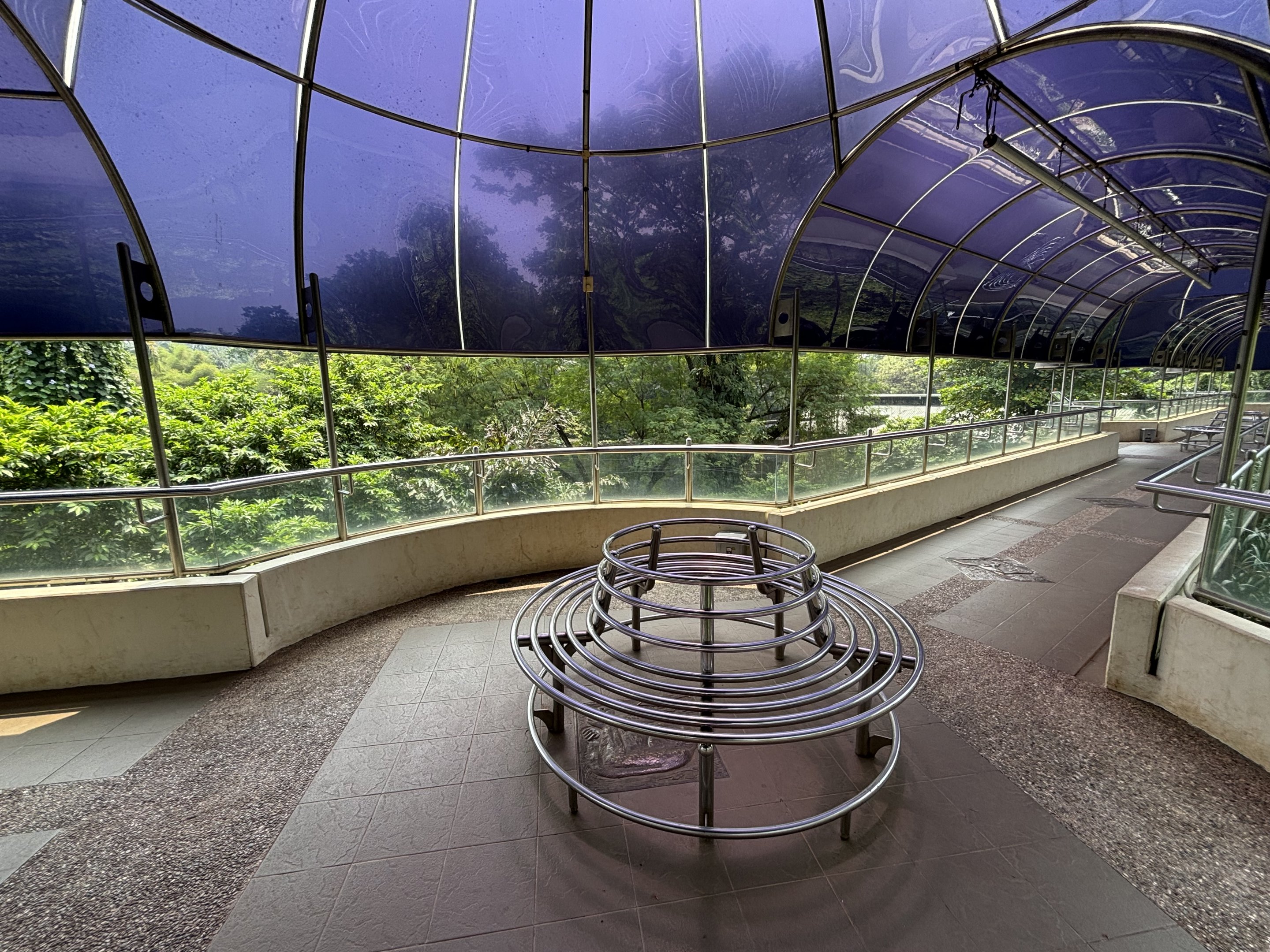 Gorilla Exhibit - walkway