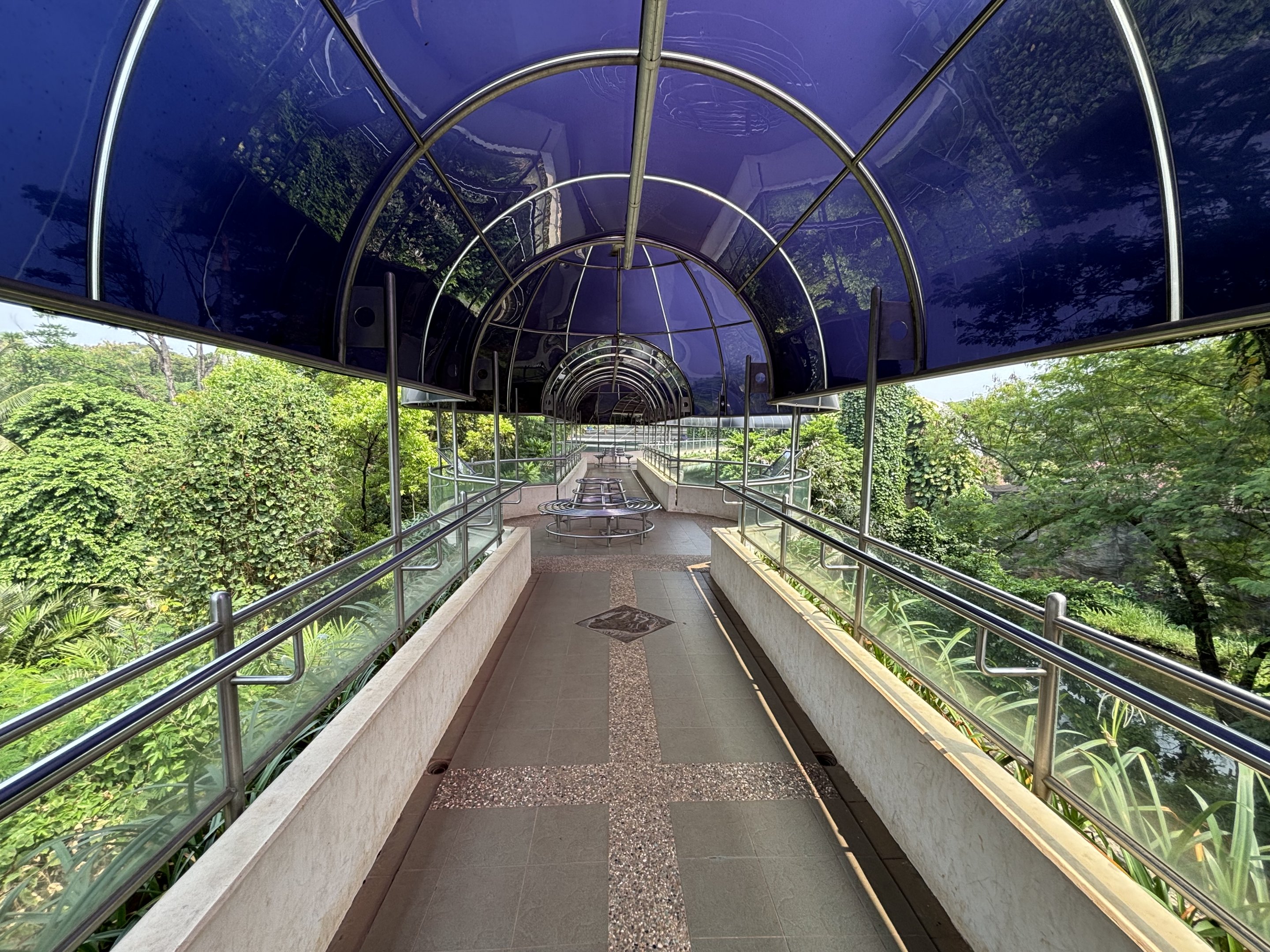 Gorilla Exhibit - walkway