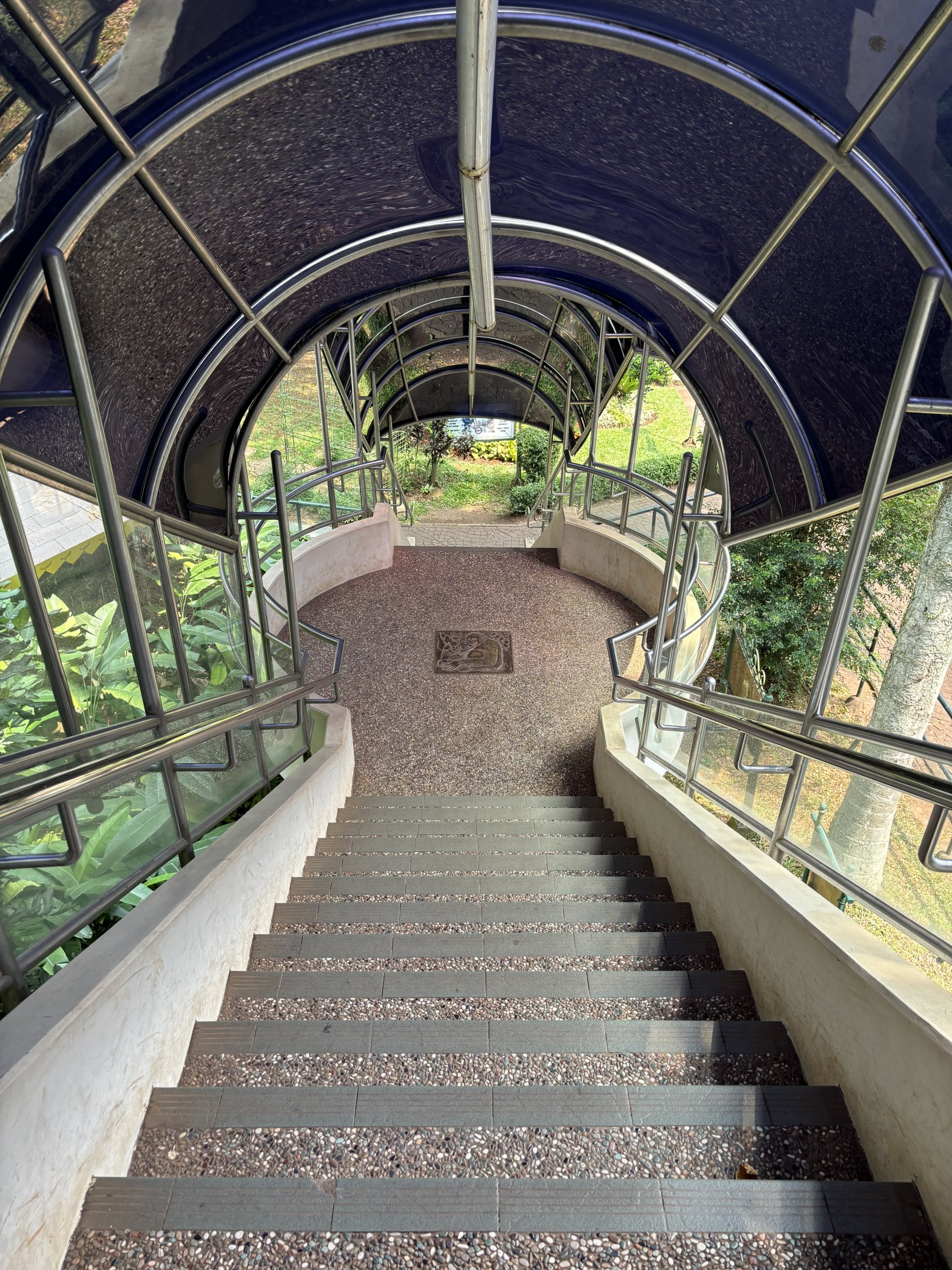 Gorilla Exhibit - walkway