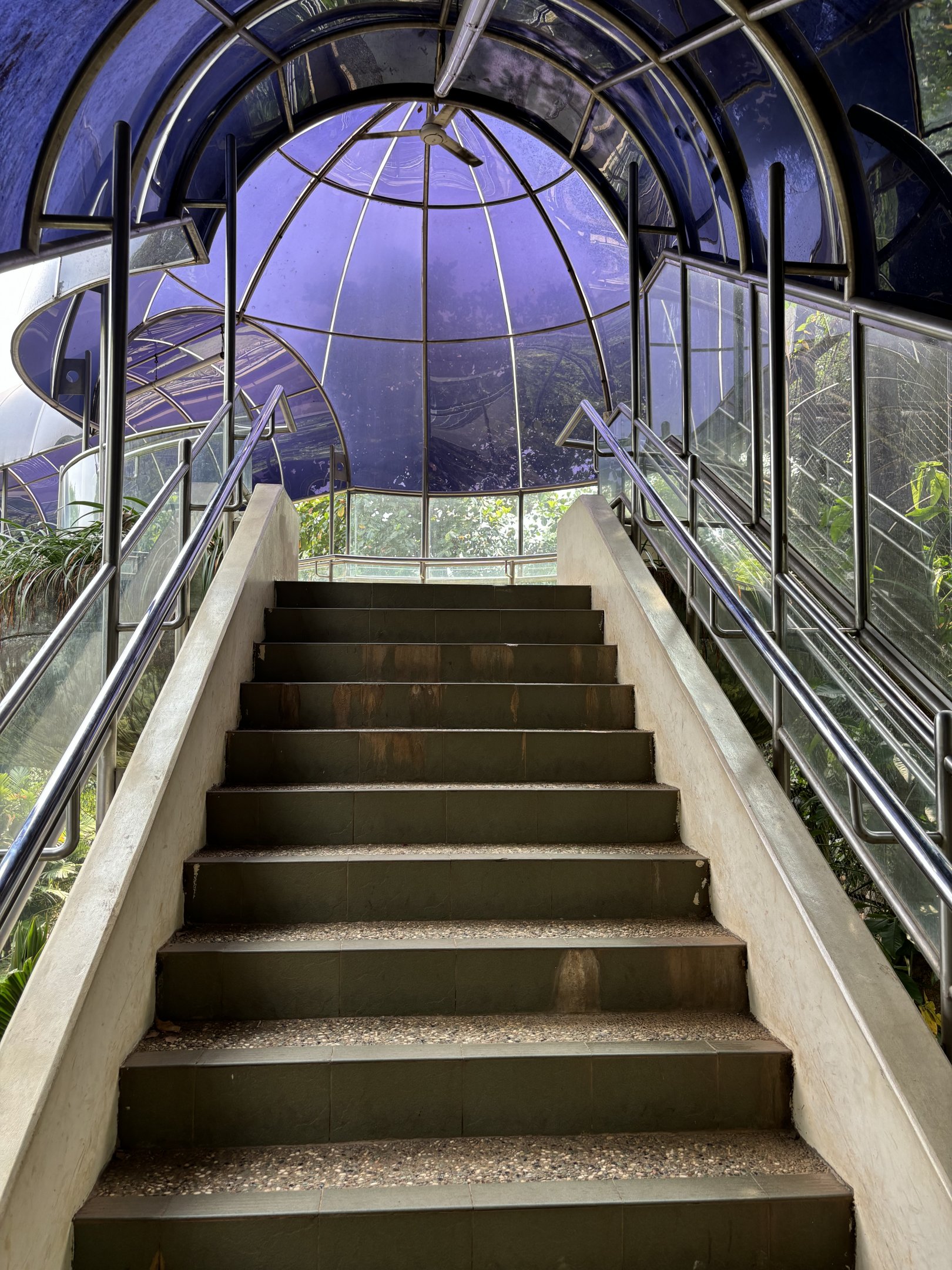 Gorilla Exhibit - walkway