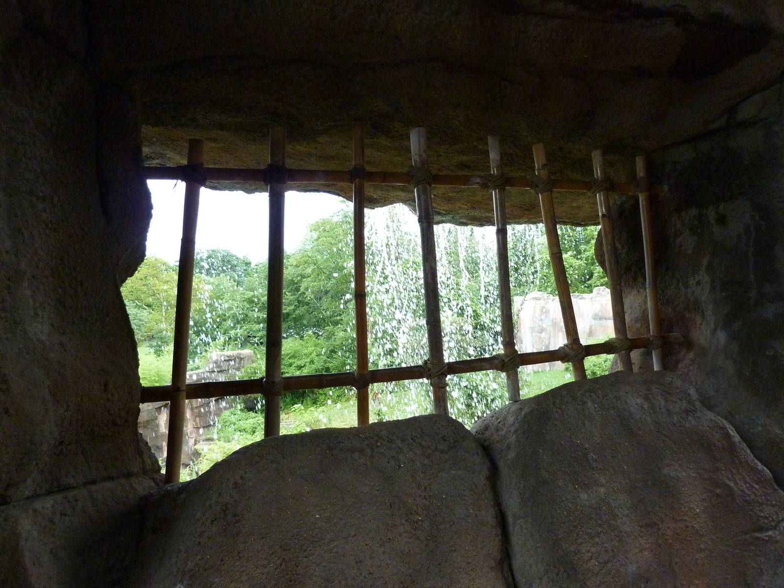Gorilla Exhibit - Waterfall Viewing Area