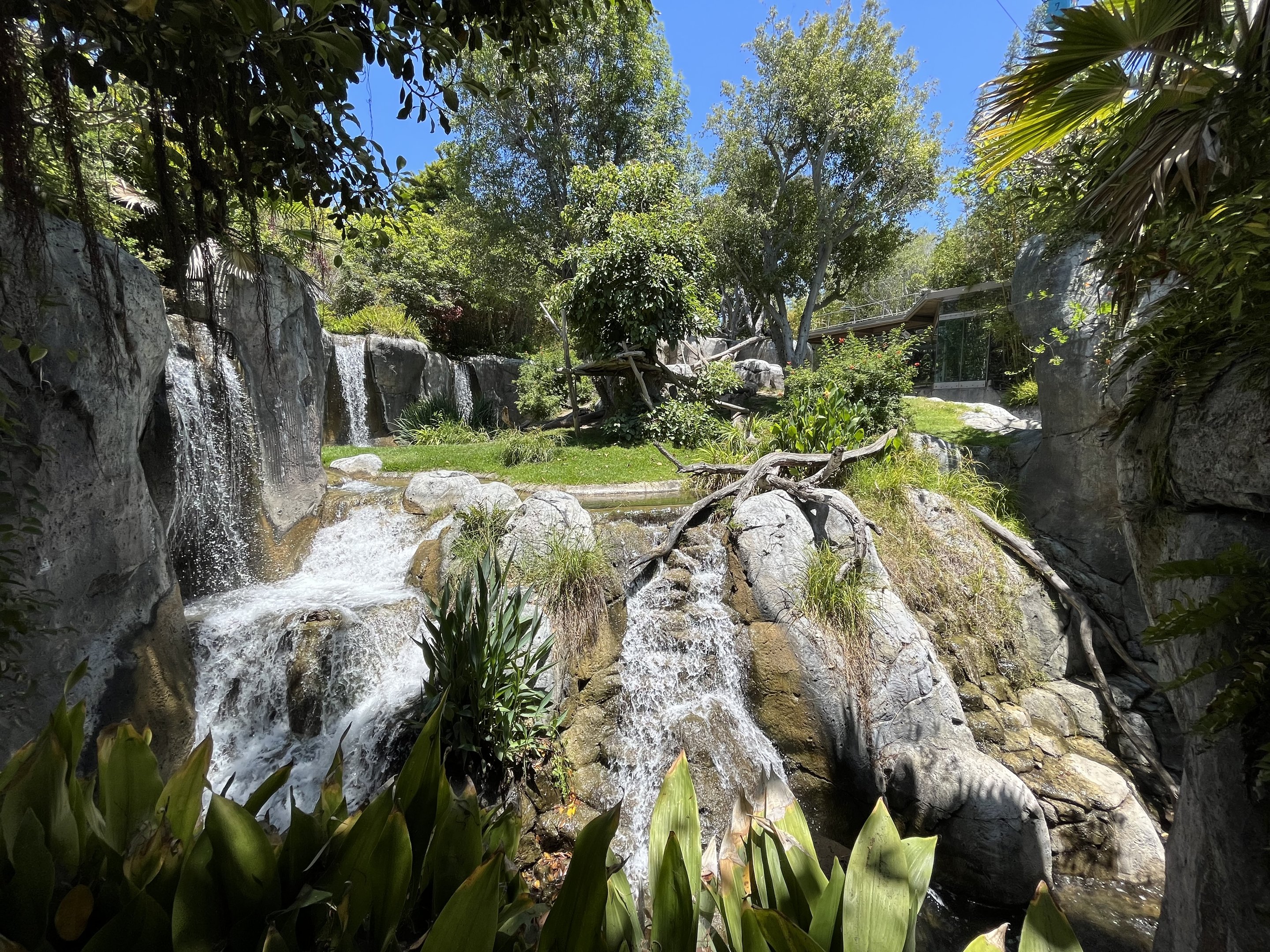 Gorilla Exhibit (waterfalls galore!)
