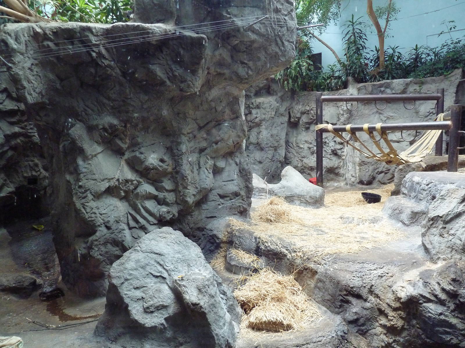 Gorilla Exhibit - With Zero Outdoor Access
