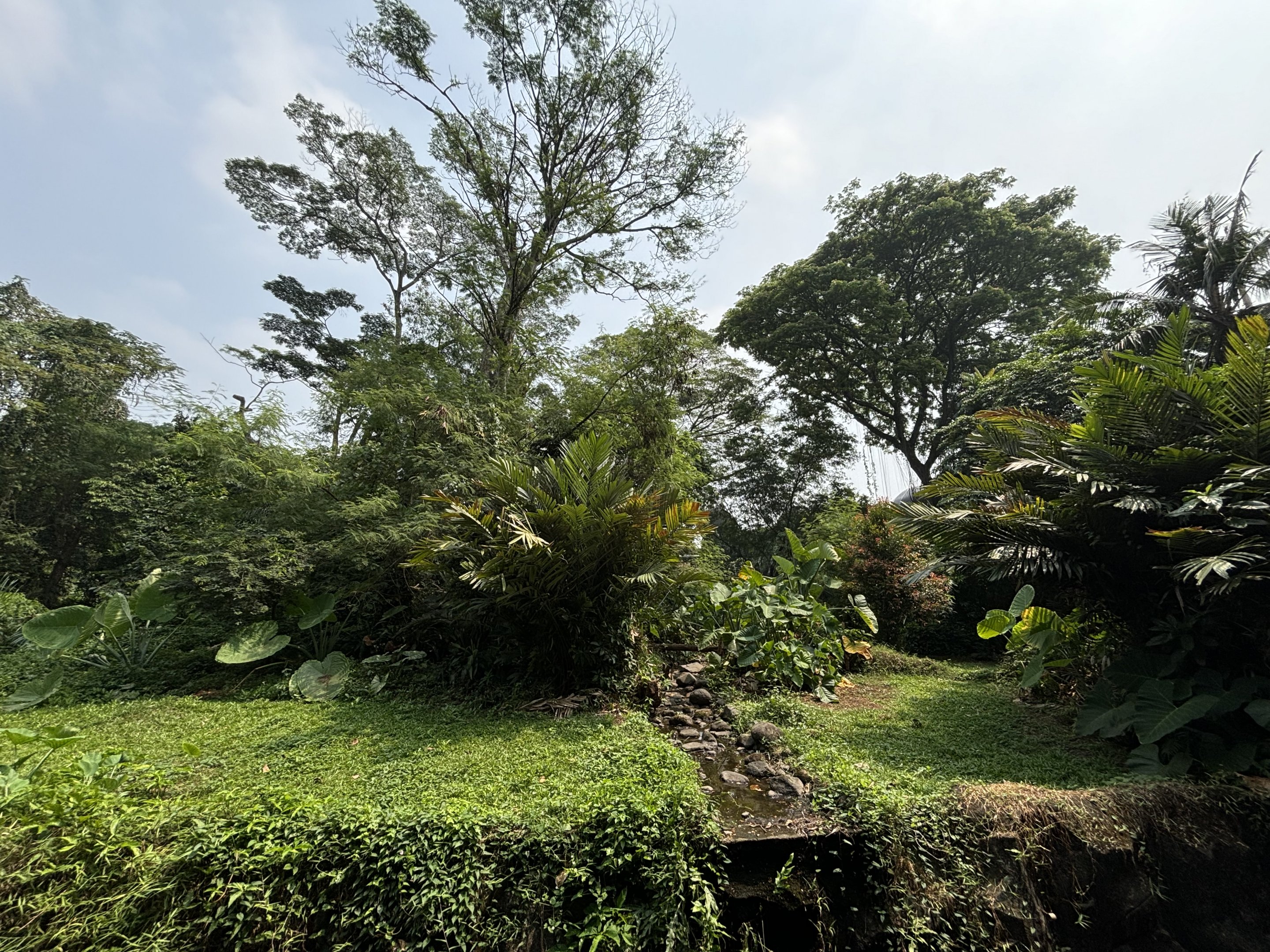 Gorilla Exhibit - world class