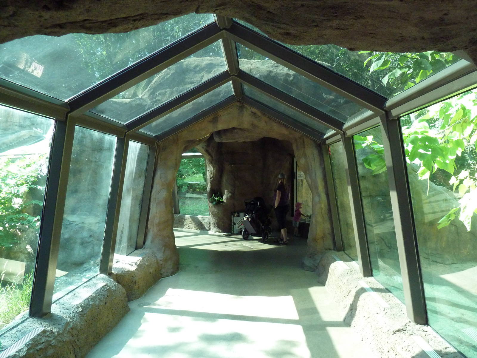 Gorilla Exhibit - World-Famous Tunnel