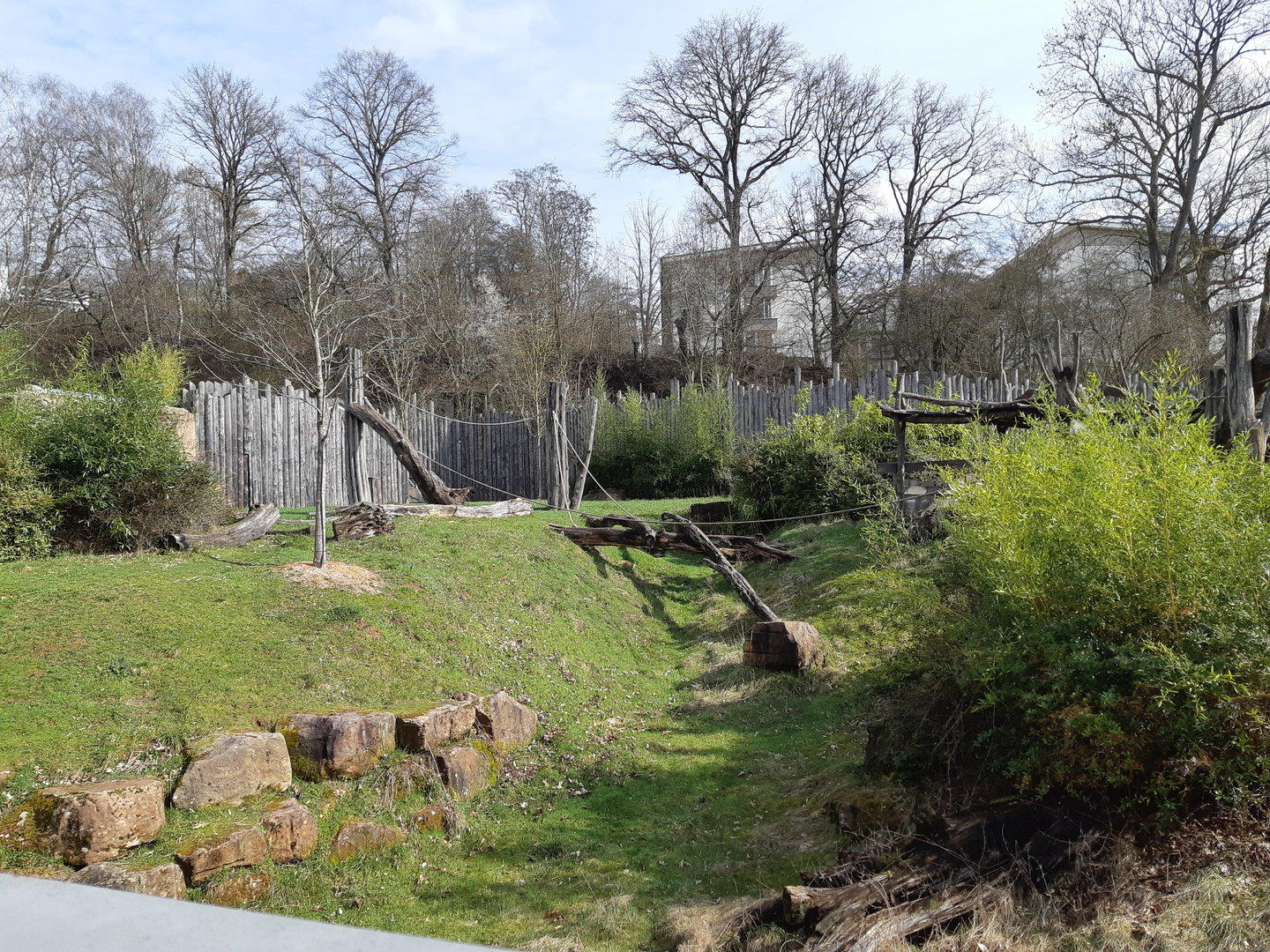 Gorilla exhibit - Zoo Saarbrücken