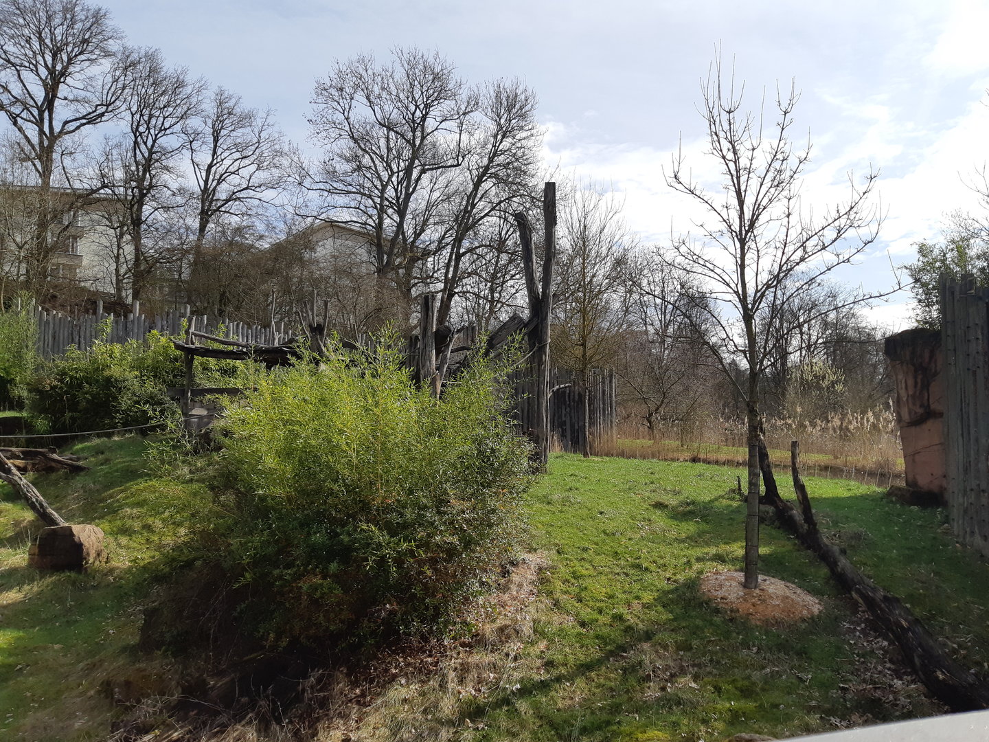 Gorilla exhibit - Zoo Saarbrücken