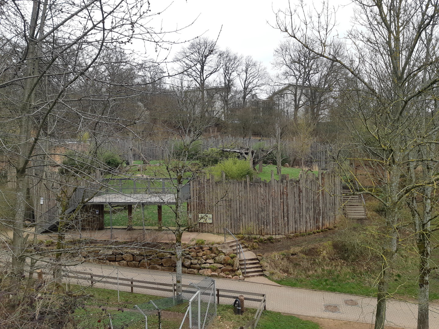 Gorilla exhibit - Zoo Saarbrücken
