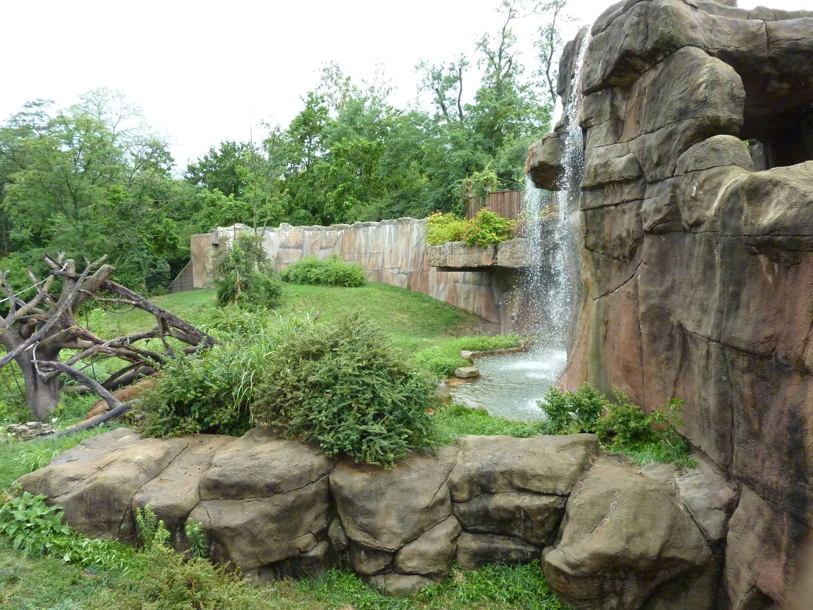 Gorilla Exhibit