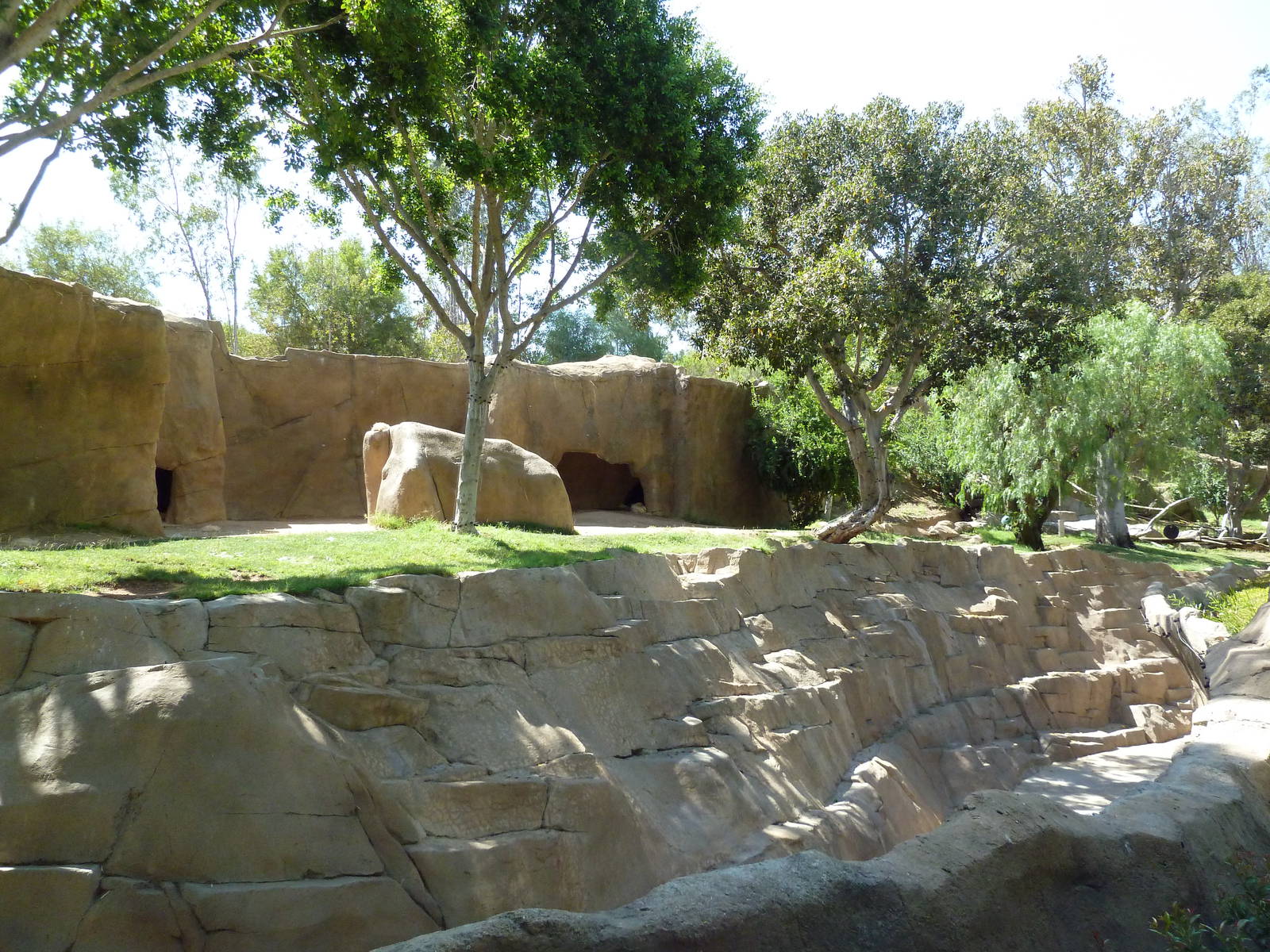 Gorilla Exhibit