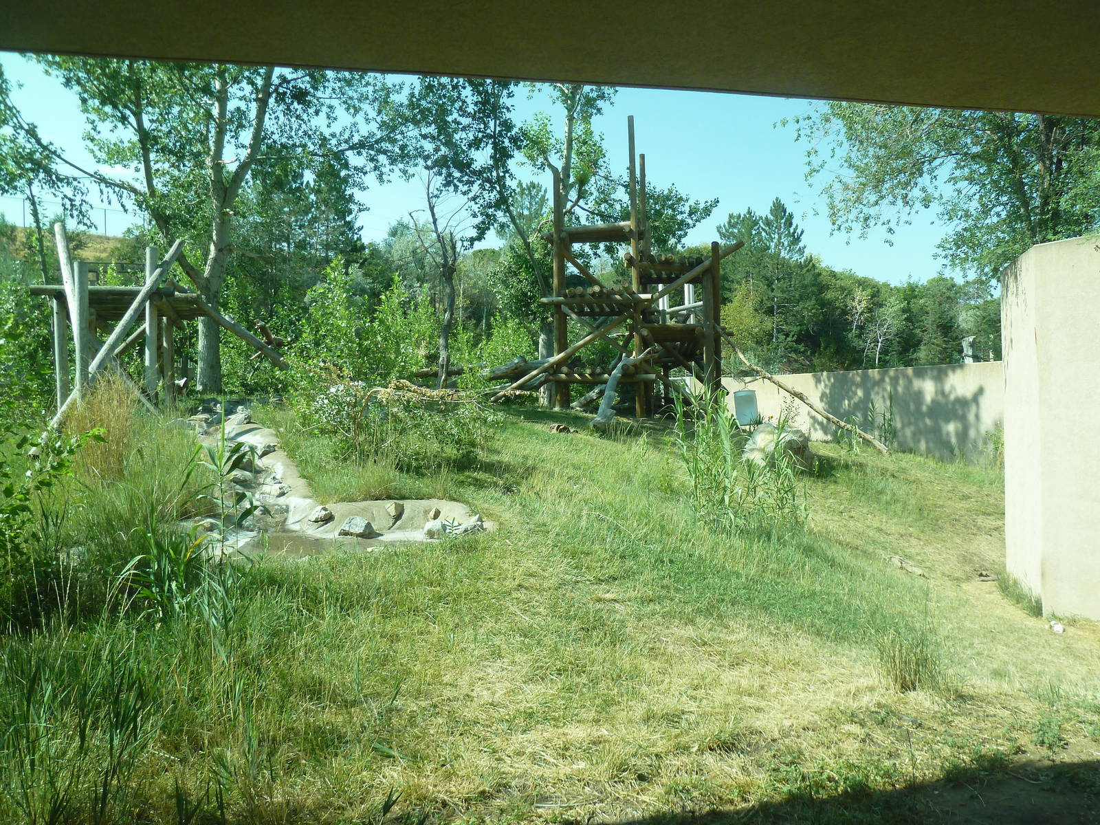 Gorilla Exhibit