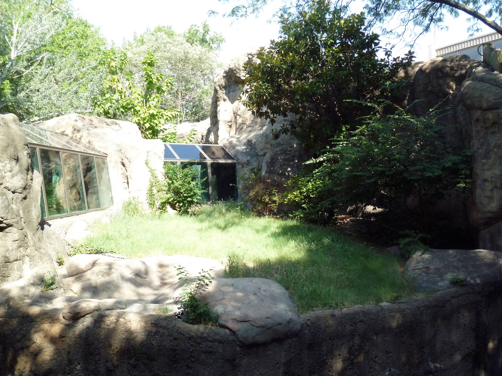Gorilla Exhibit