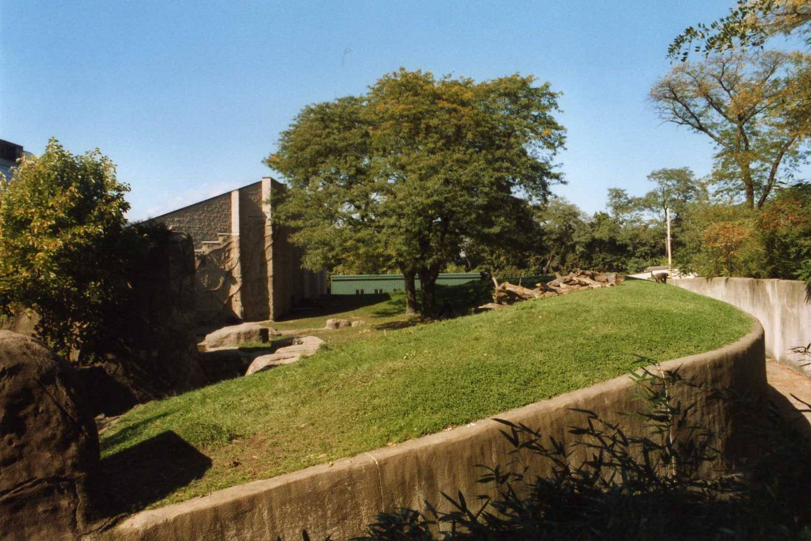 Gorilla Exhibit