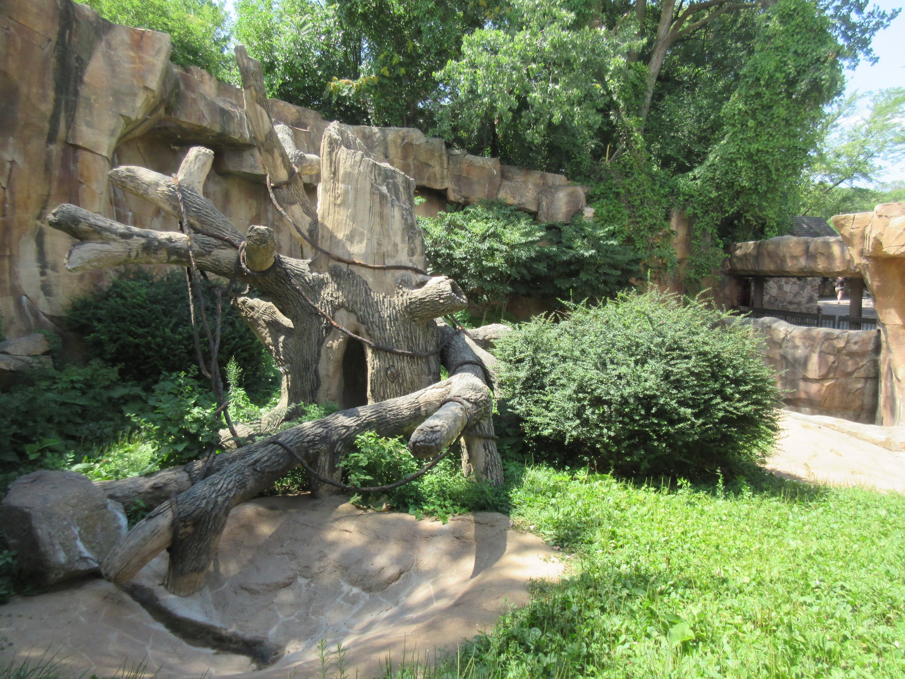 Gorilla Exhibit