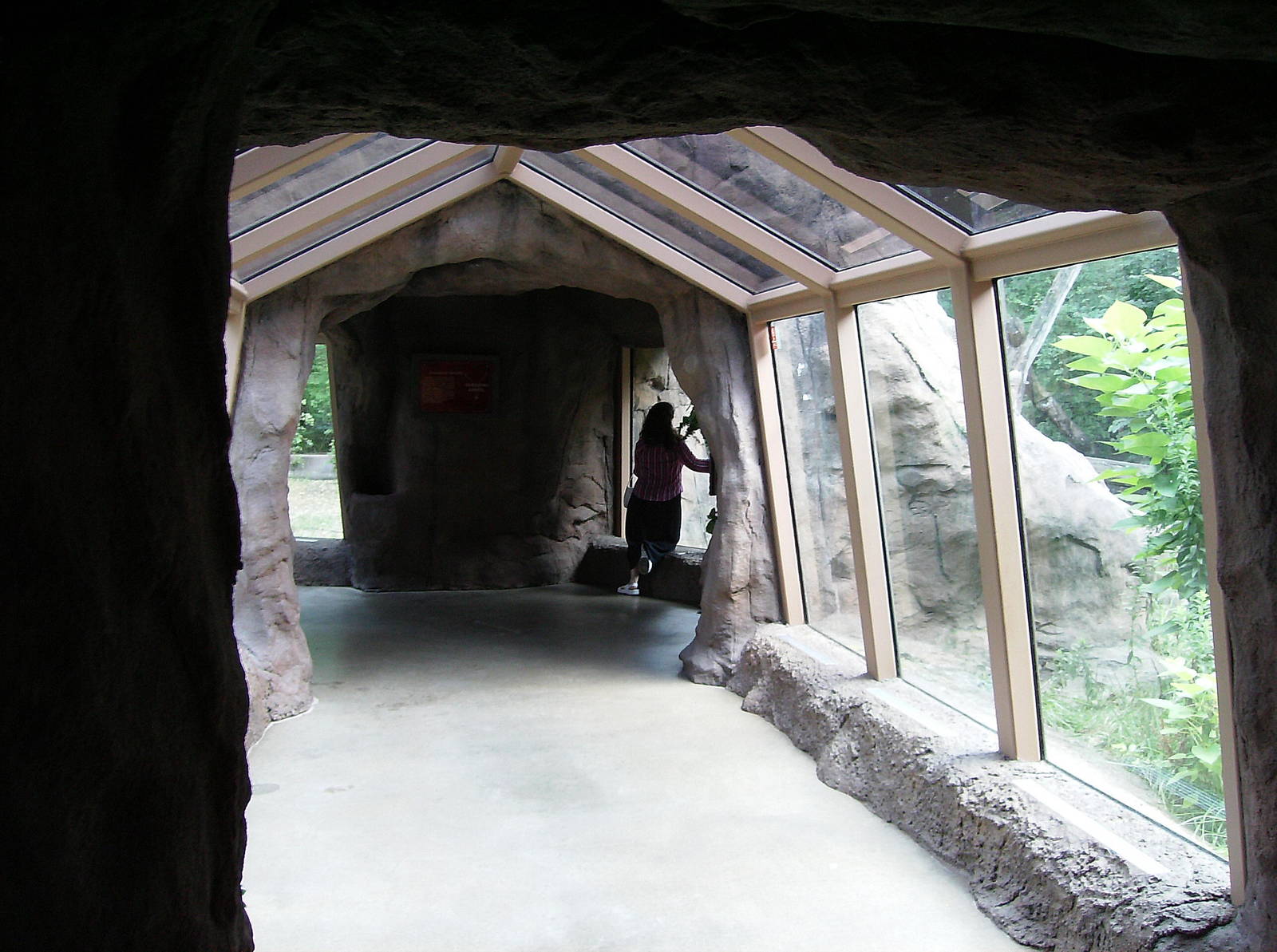 Gorilla Exhibit