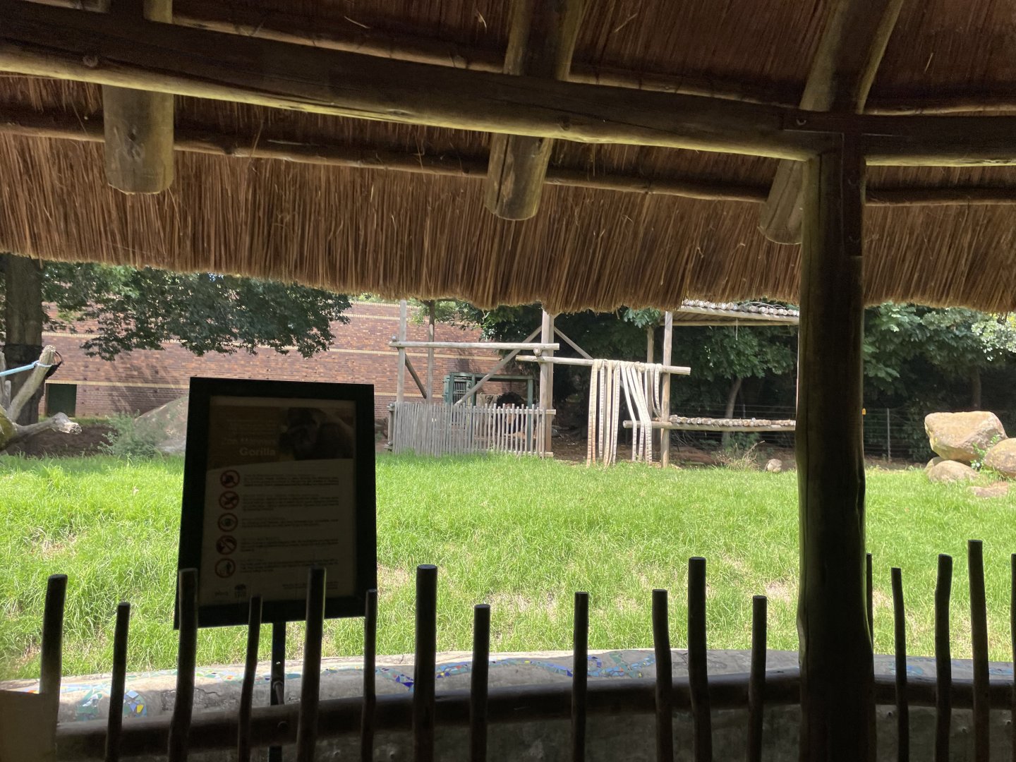 Gorilla Exhibit