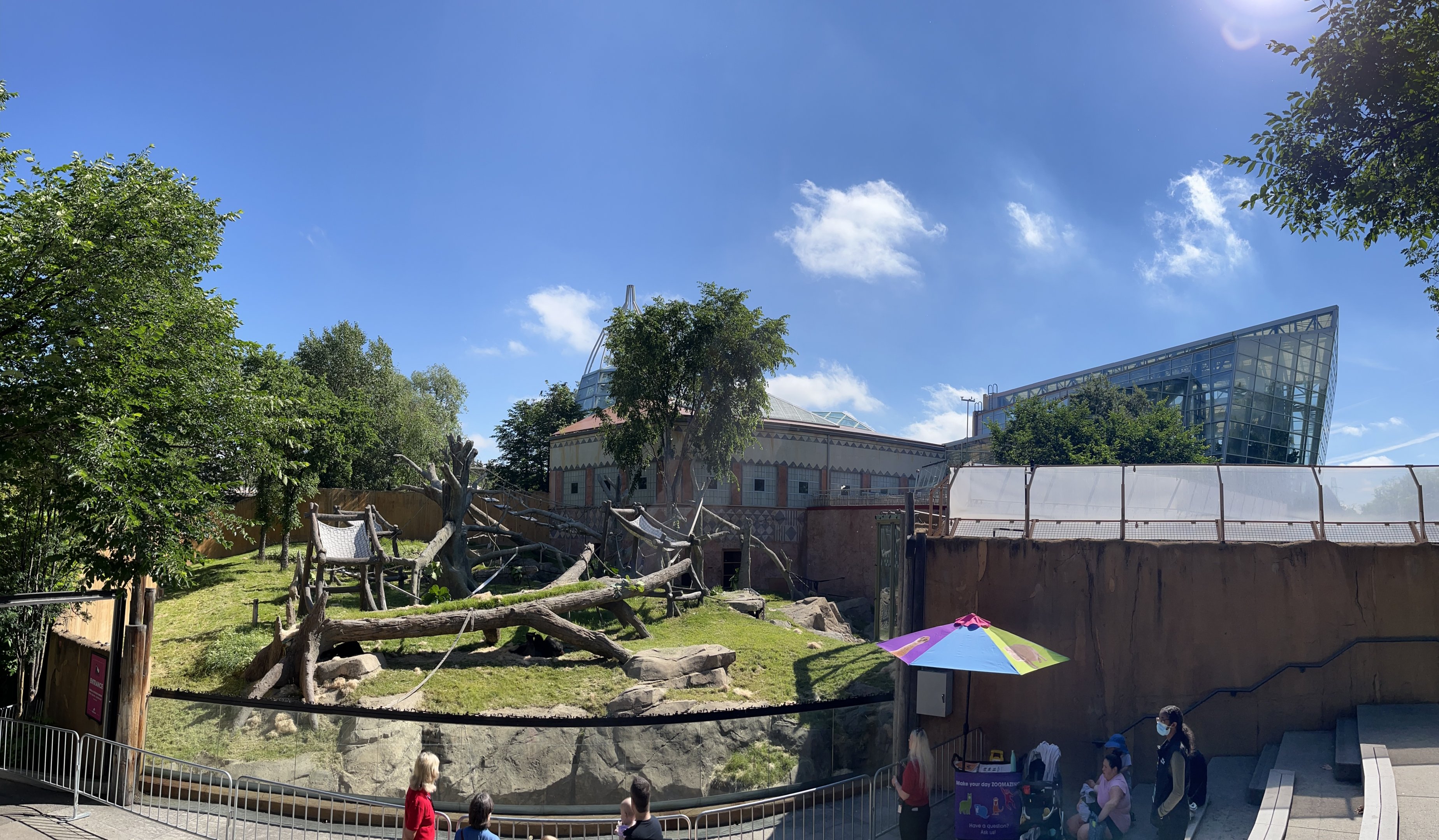 Gorilla Exhibit