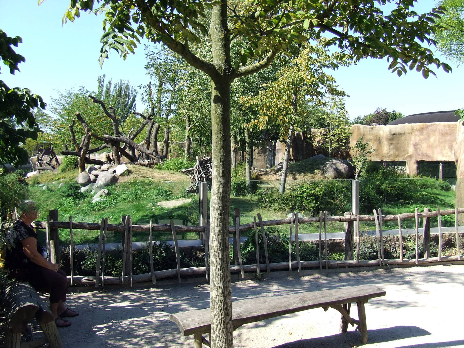 Gorilla exhibit