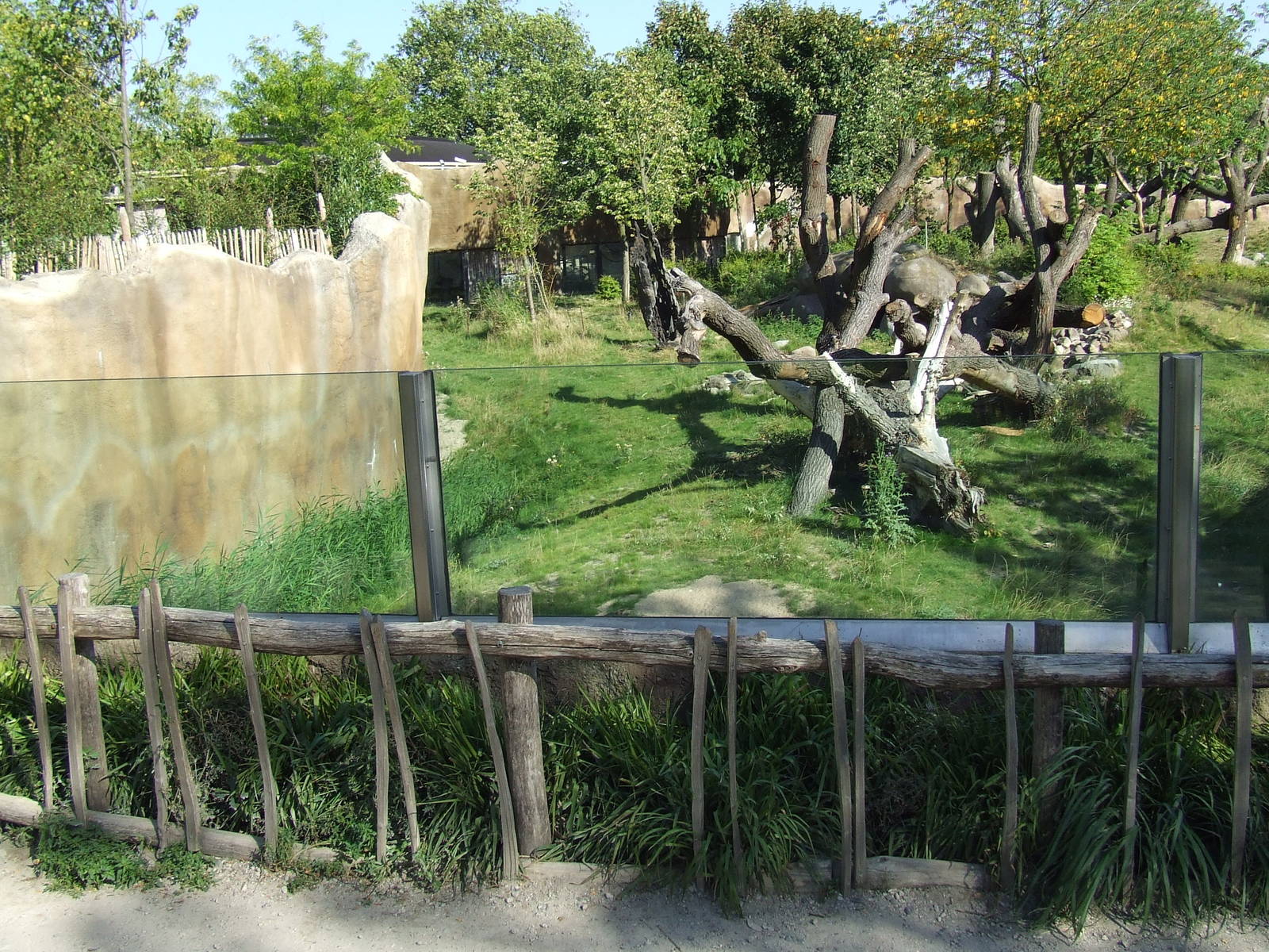 Gorilla exhibit