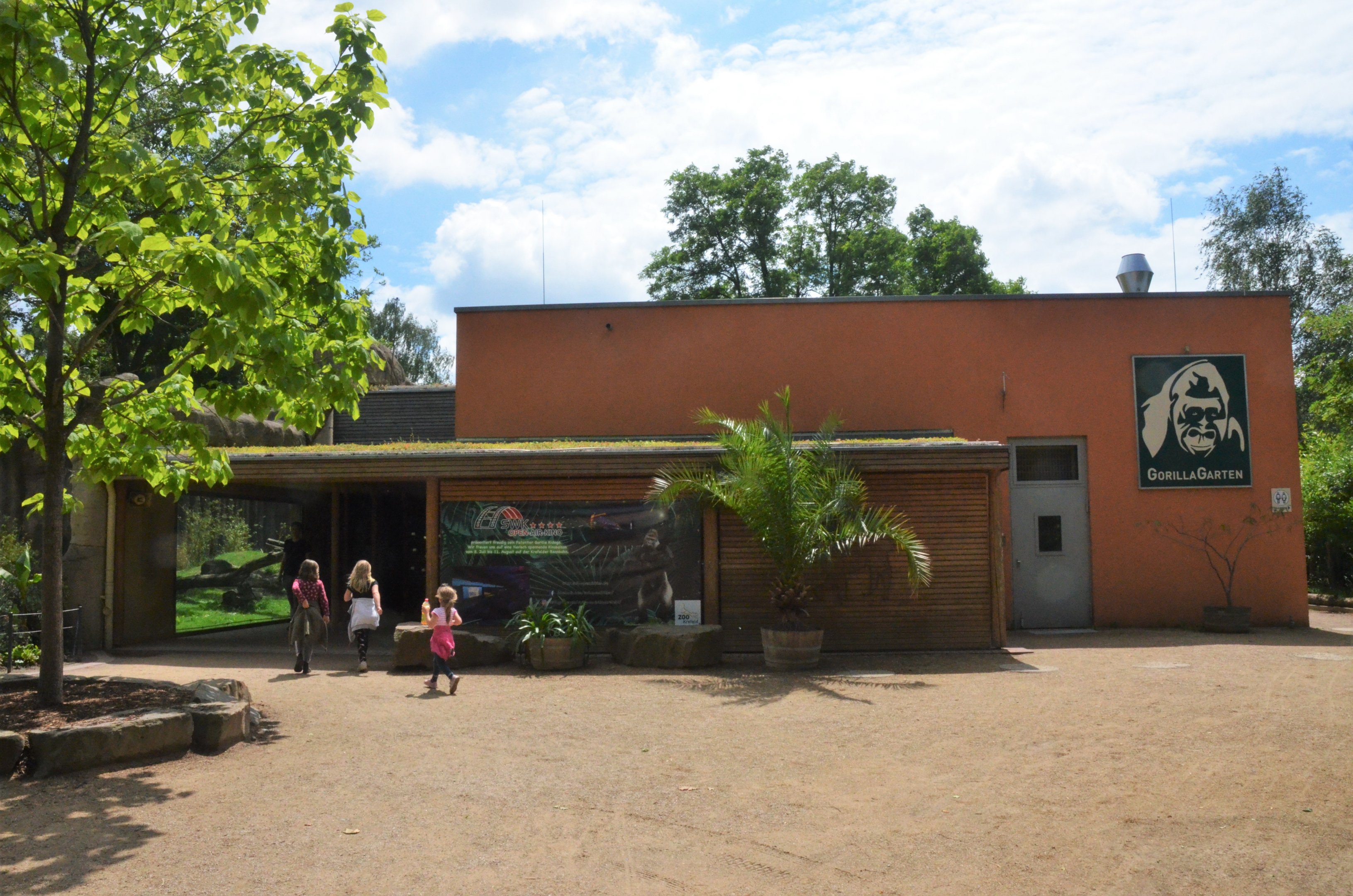 Gorilla Family Group Enclosure at Krefeld, 15/06/19