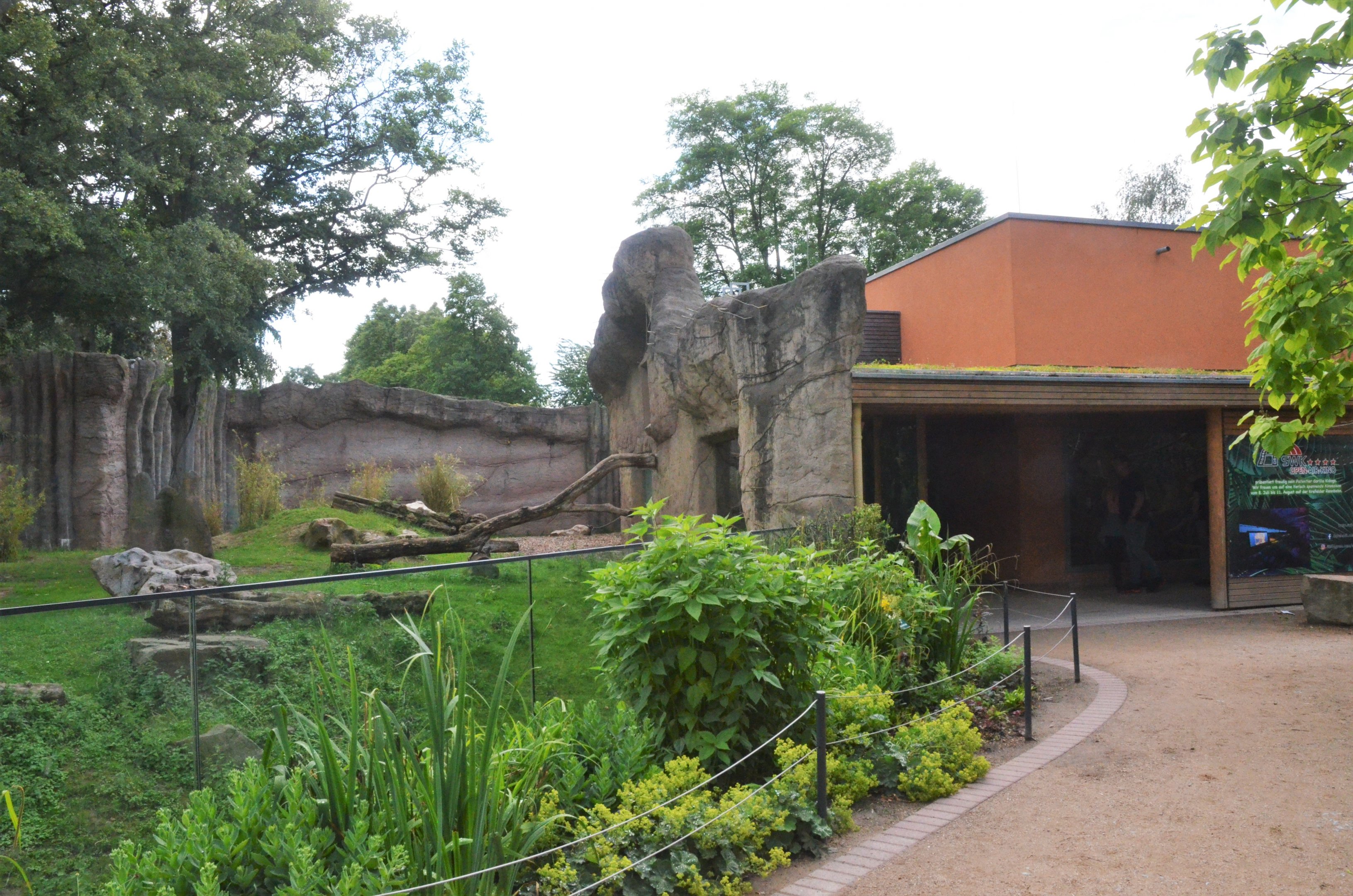 Gorilla Family Group Enclosure at Krefeld, 15/06/19