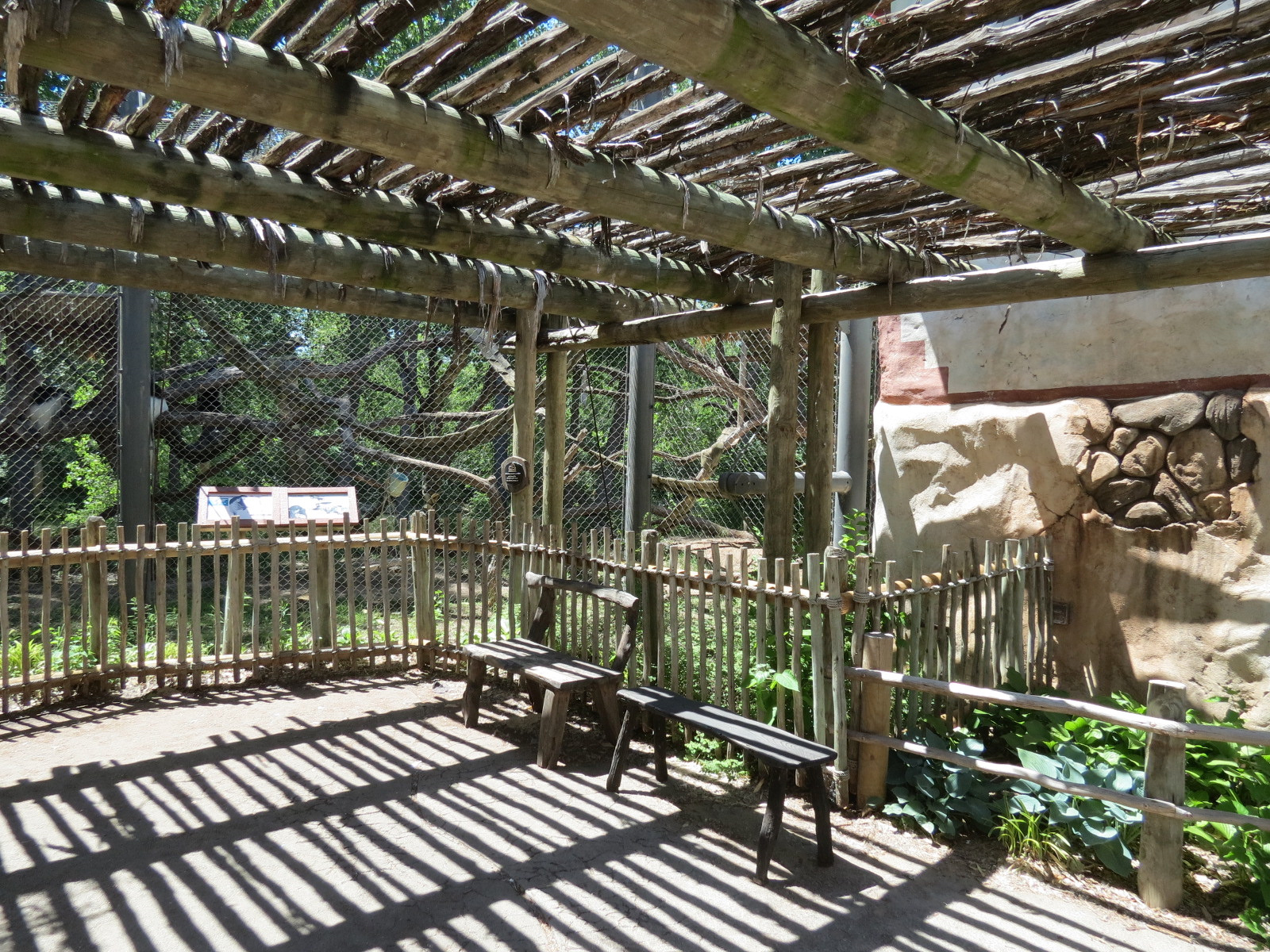 Gorilla Forest - Colobus Monkey Exhibit