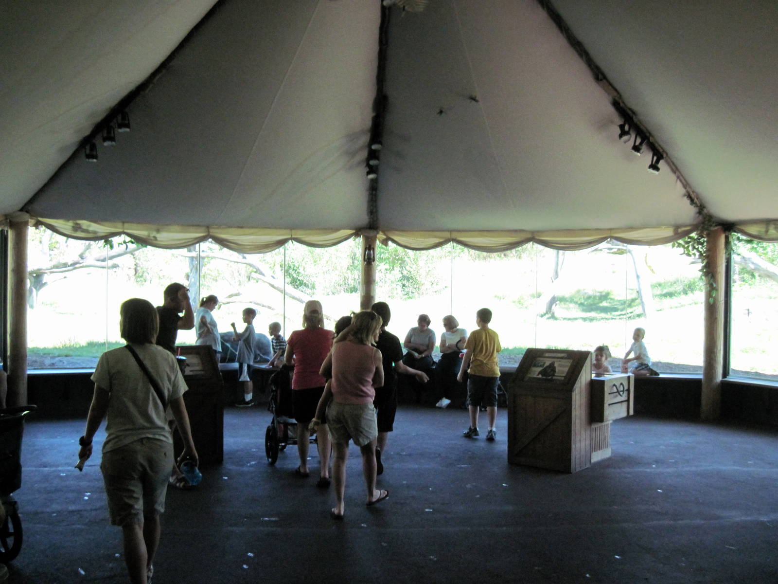Gorilla Forest-Eastern Gorilla Viewing Area