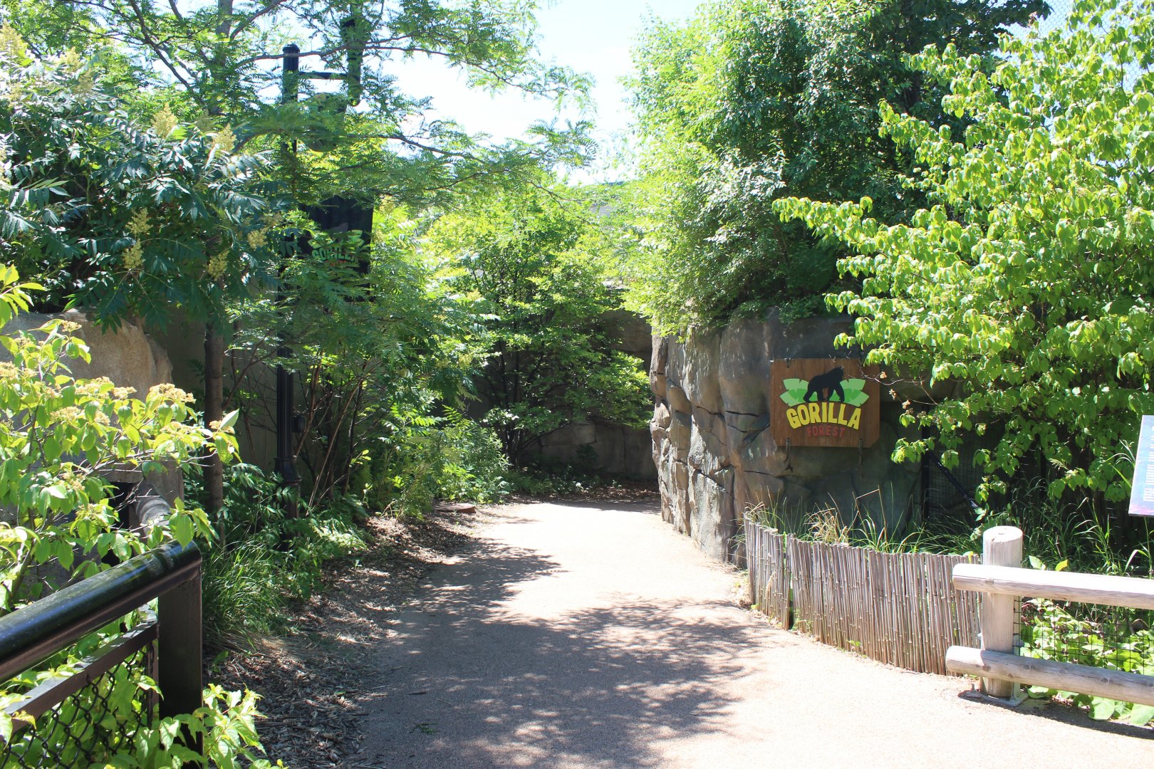 Gorilla Forest Entrance - Primate House