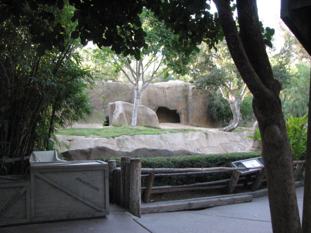 Gorilla Forest - Gorilla Habitat