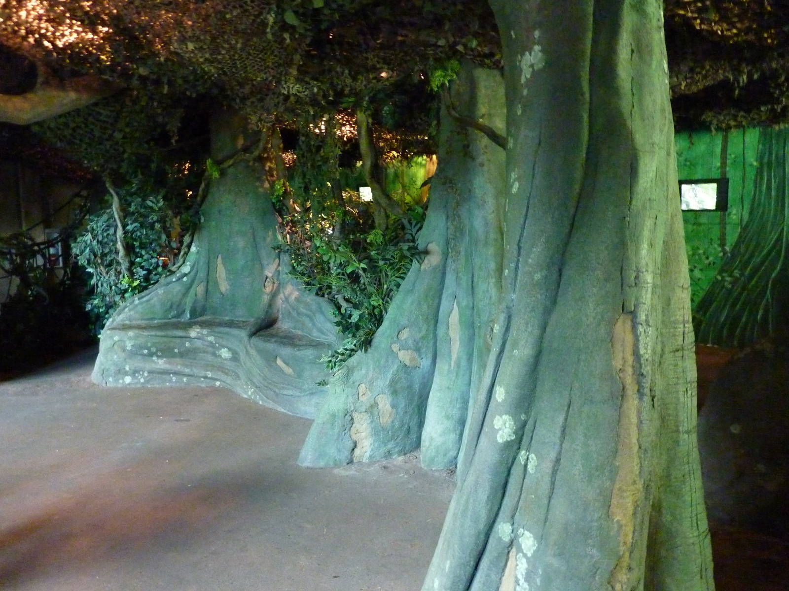 Gorilla Forest - Indoor Viewing Area